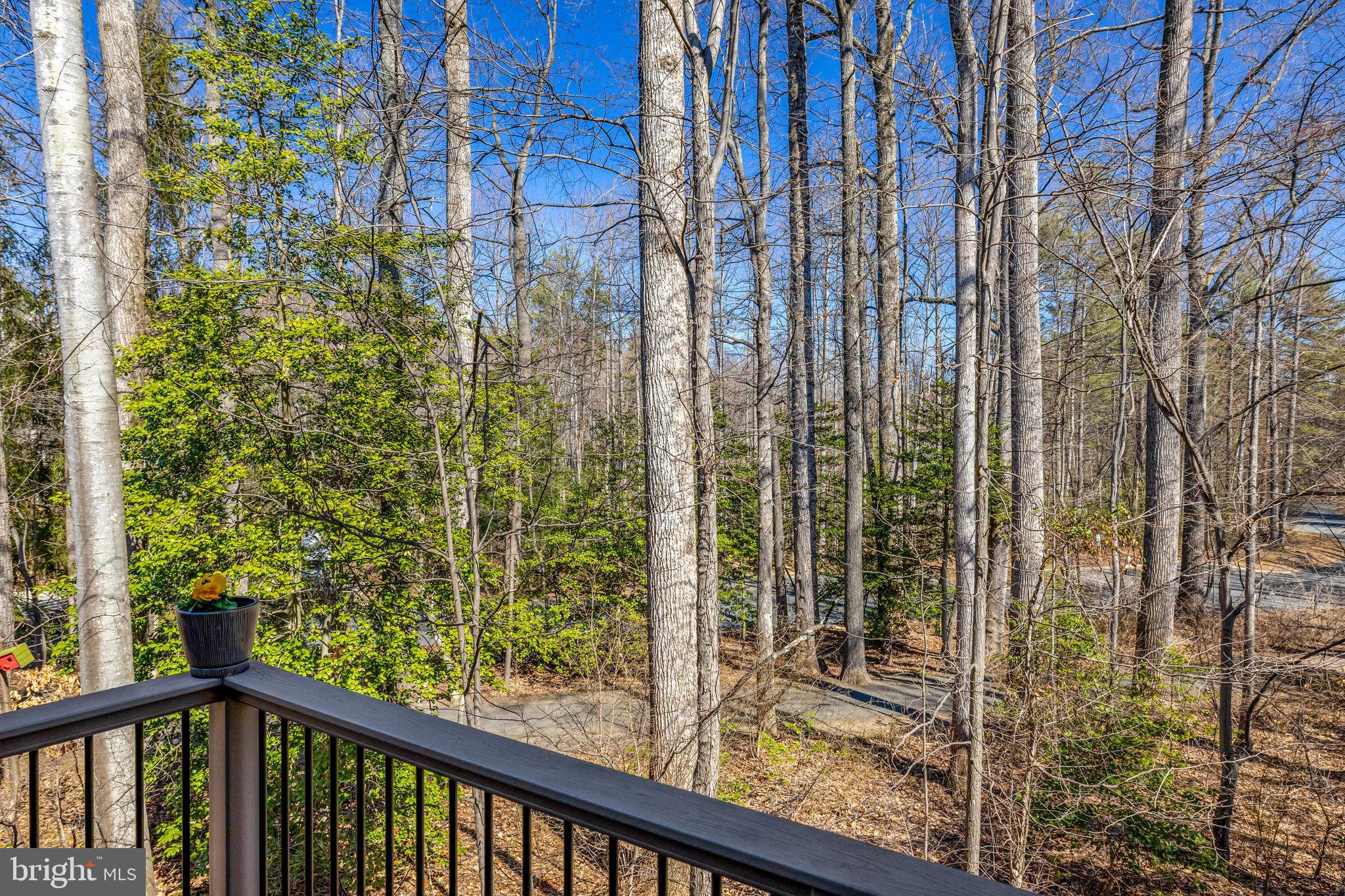 11440 Hollow Timber Ct