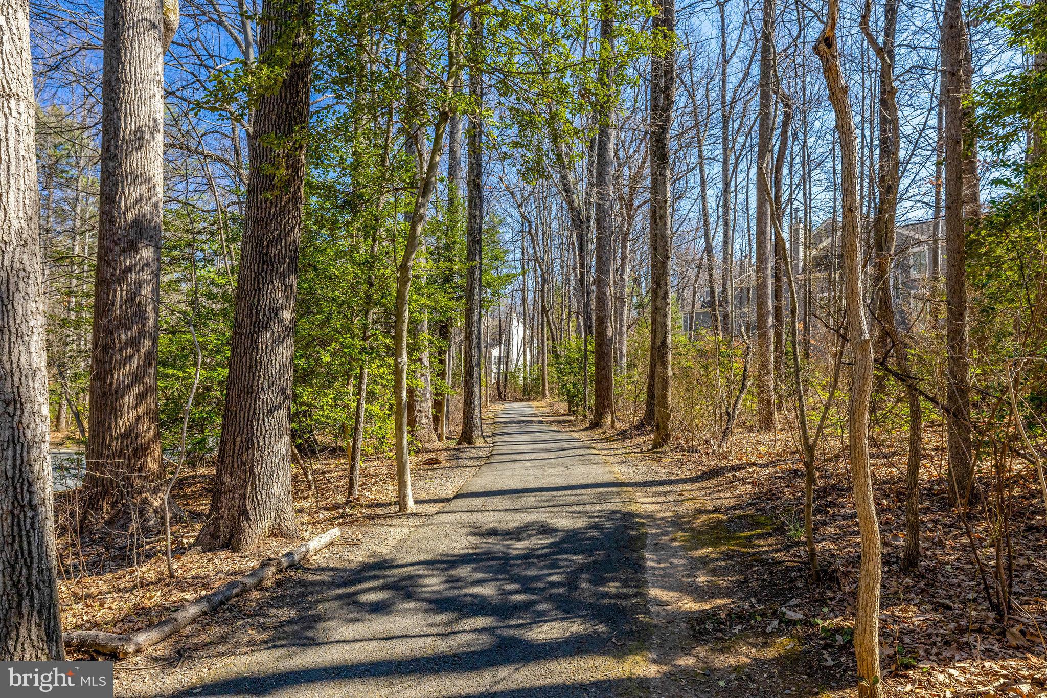 11440 Hollow Timber Ct