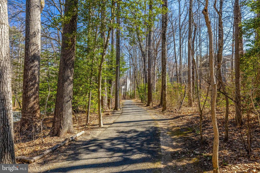 11440 Hollow Timber Ct