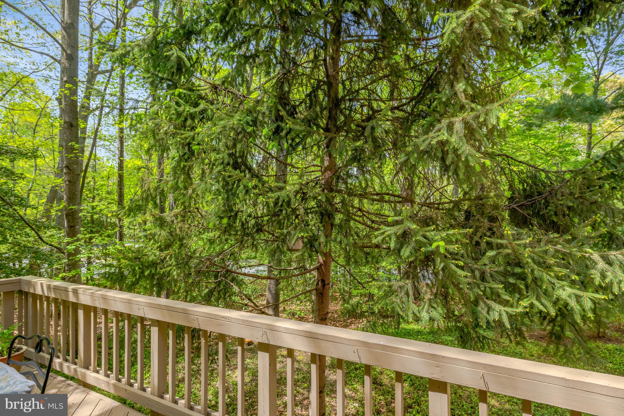 11431 Hollow Timber Way