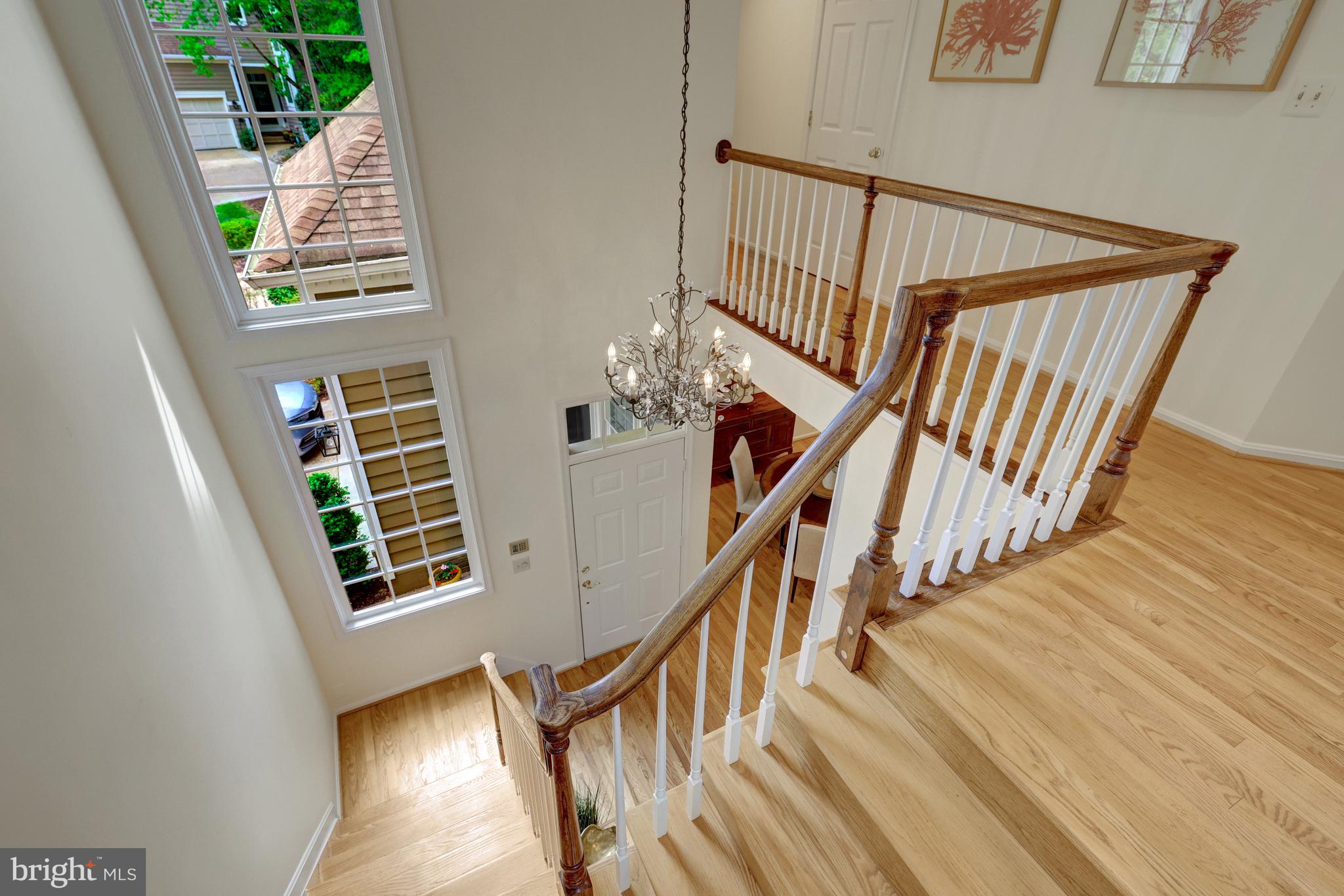 11431 Hollow Timber Way