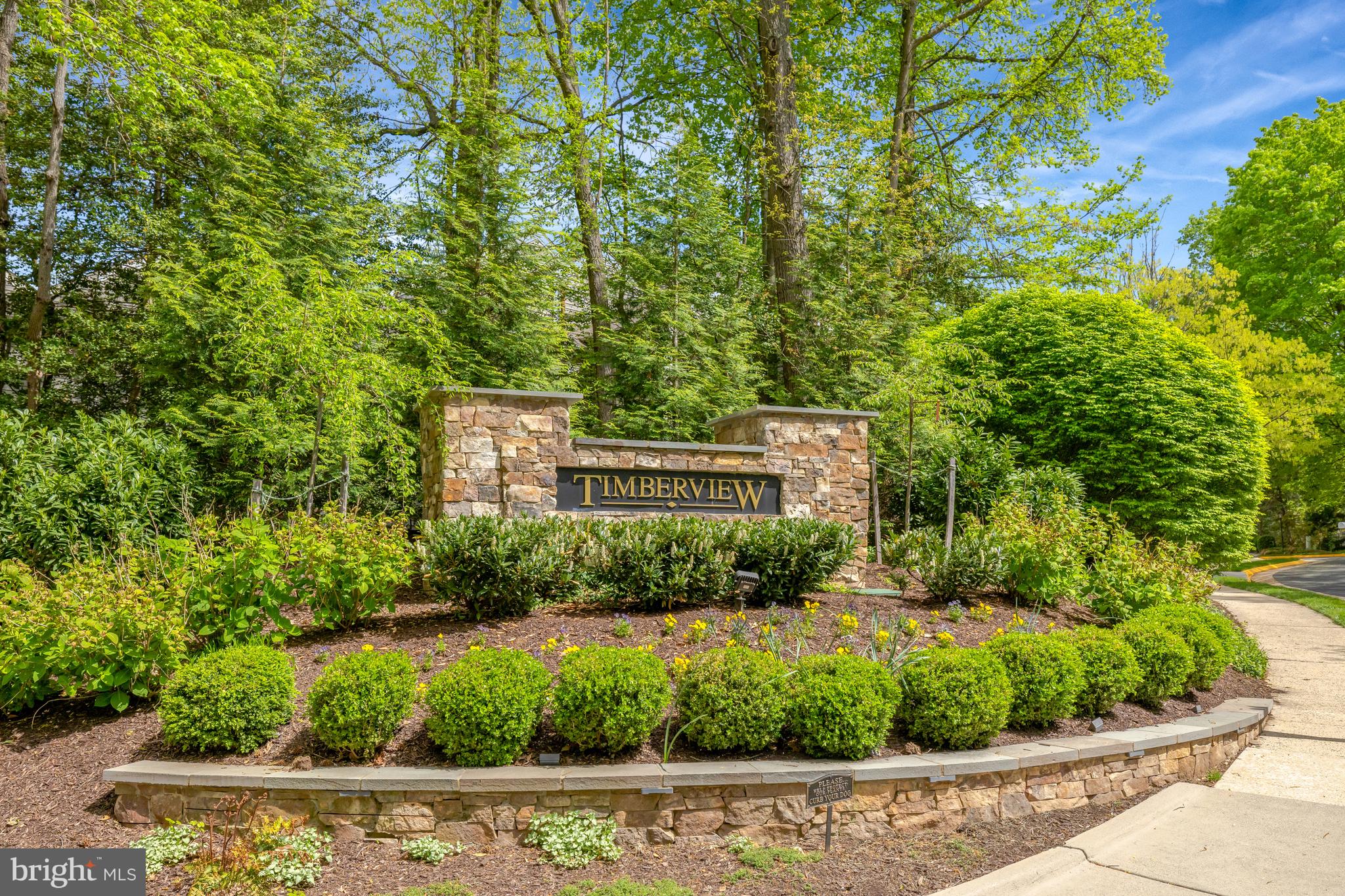 11431 Hollow Timber Way