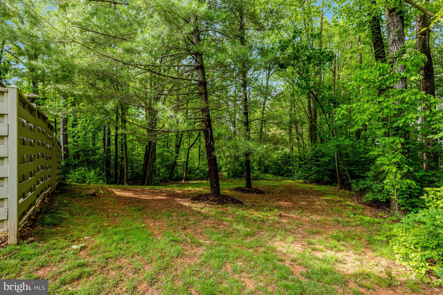 11430 Hollow Timber Ct