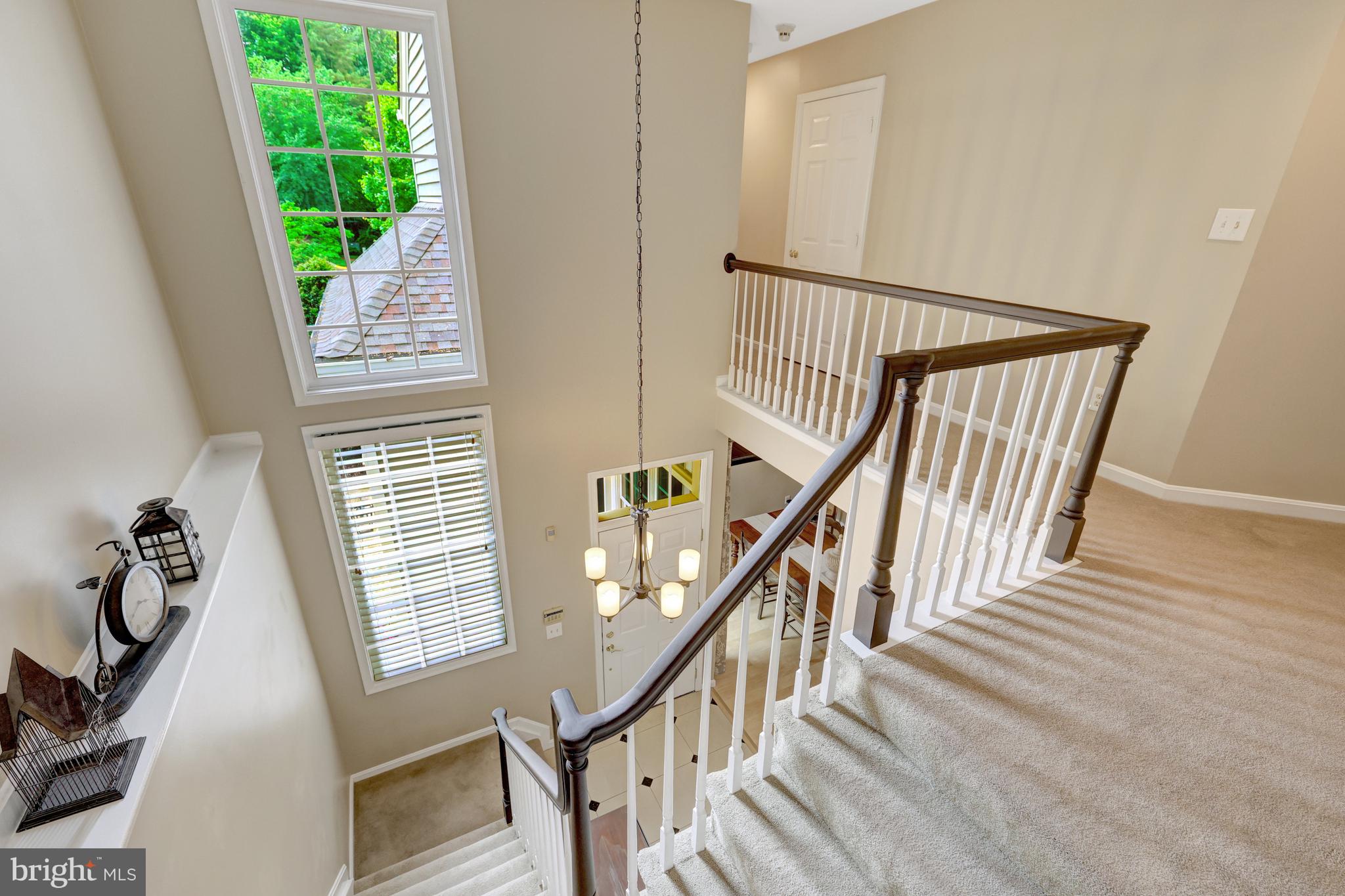 11430 Hollow Timber Ct