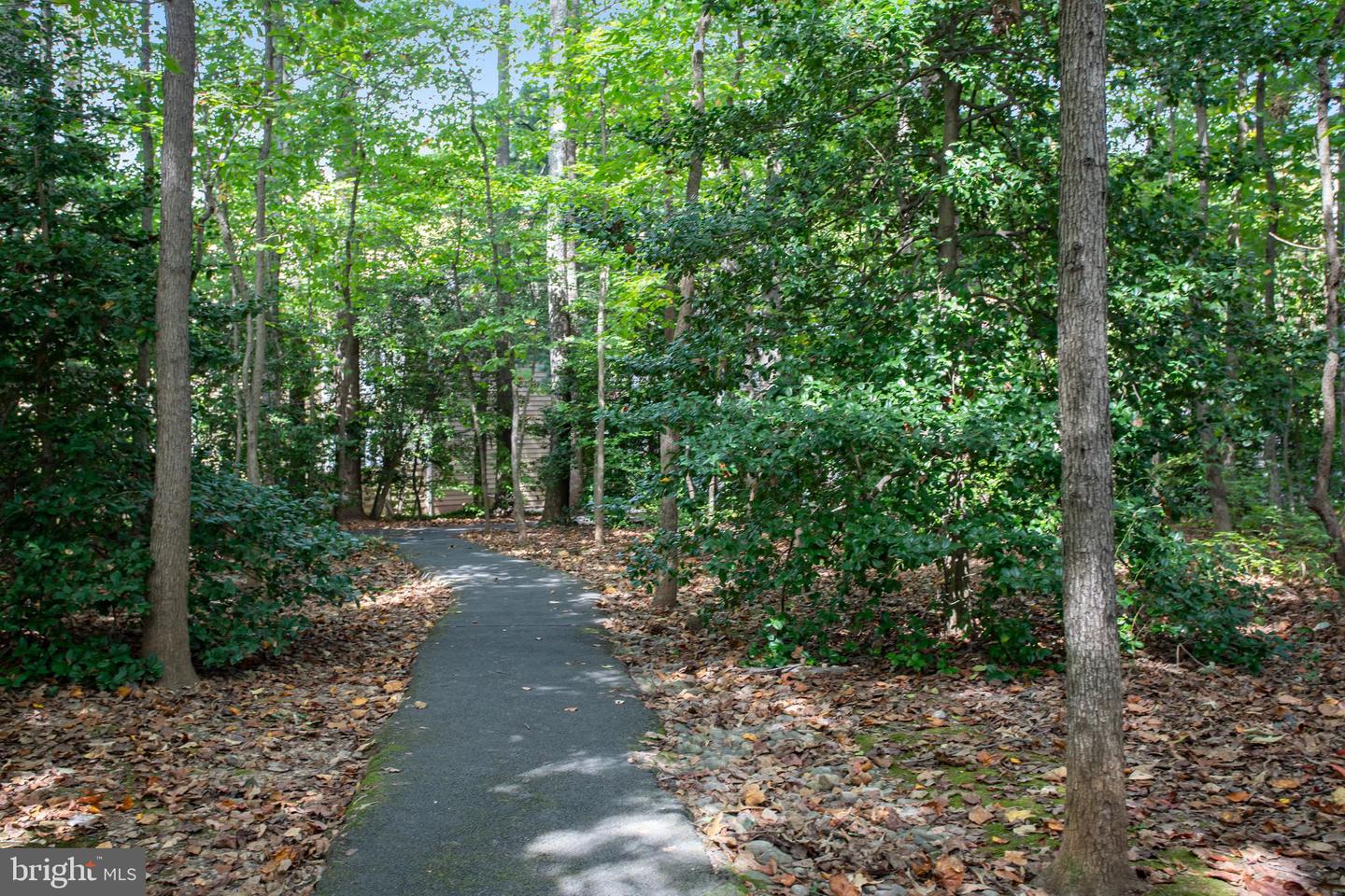 11430 Hollow Timber Ct