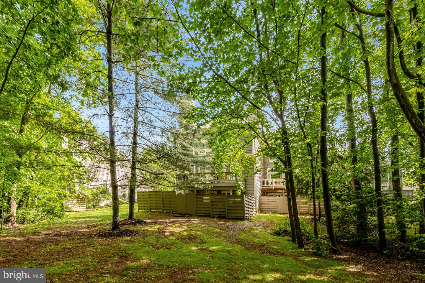 11430 Hollow Timber Ct
