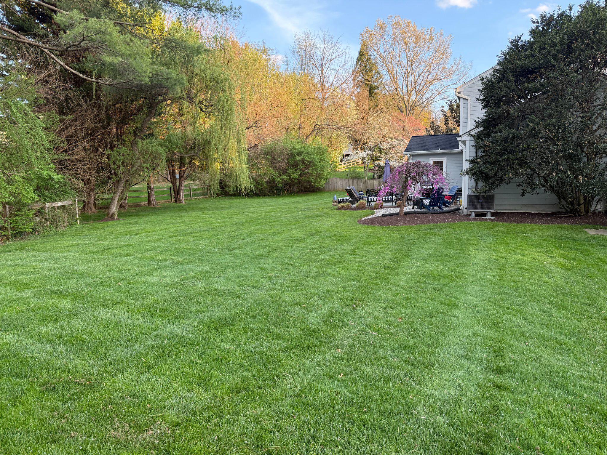 1919 BATTEN HOLLOW