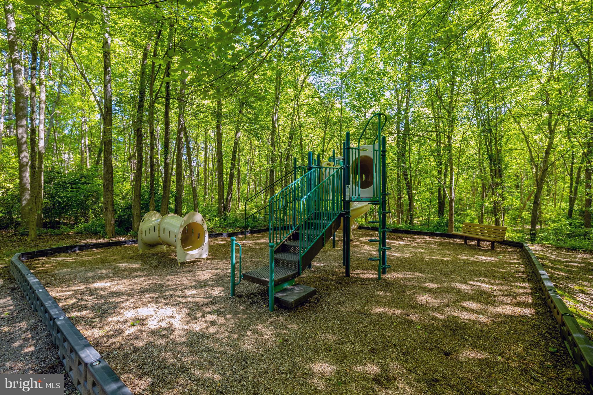 11413 HOLLOW TIMBER WAY