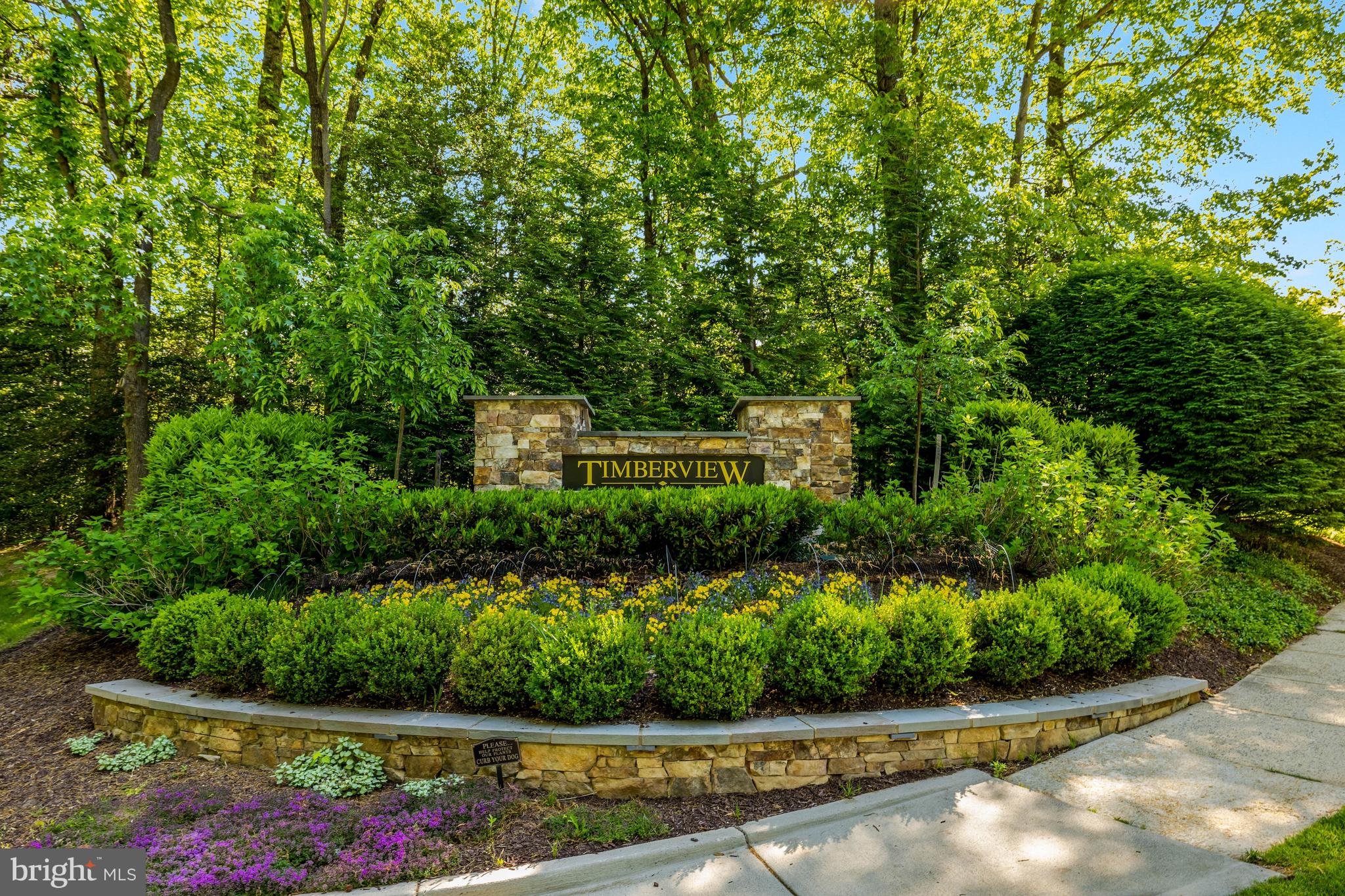 11413 HOLLOW TIMBER WAY