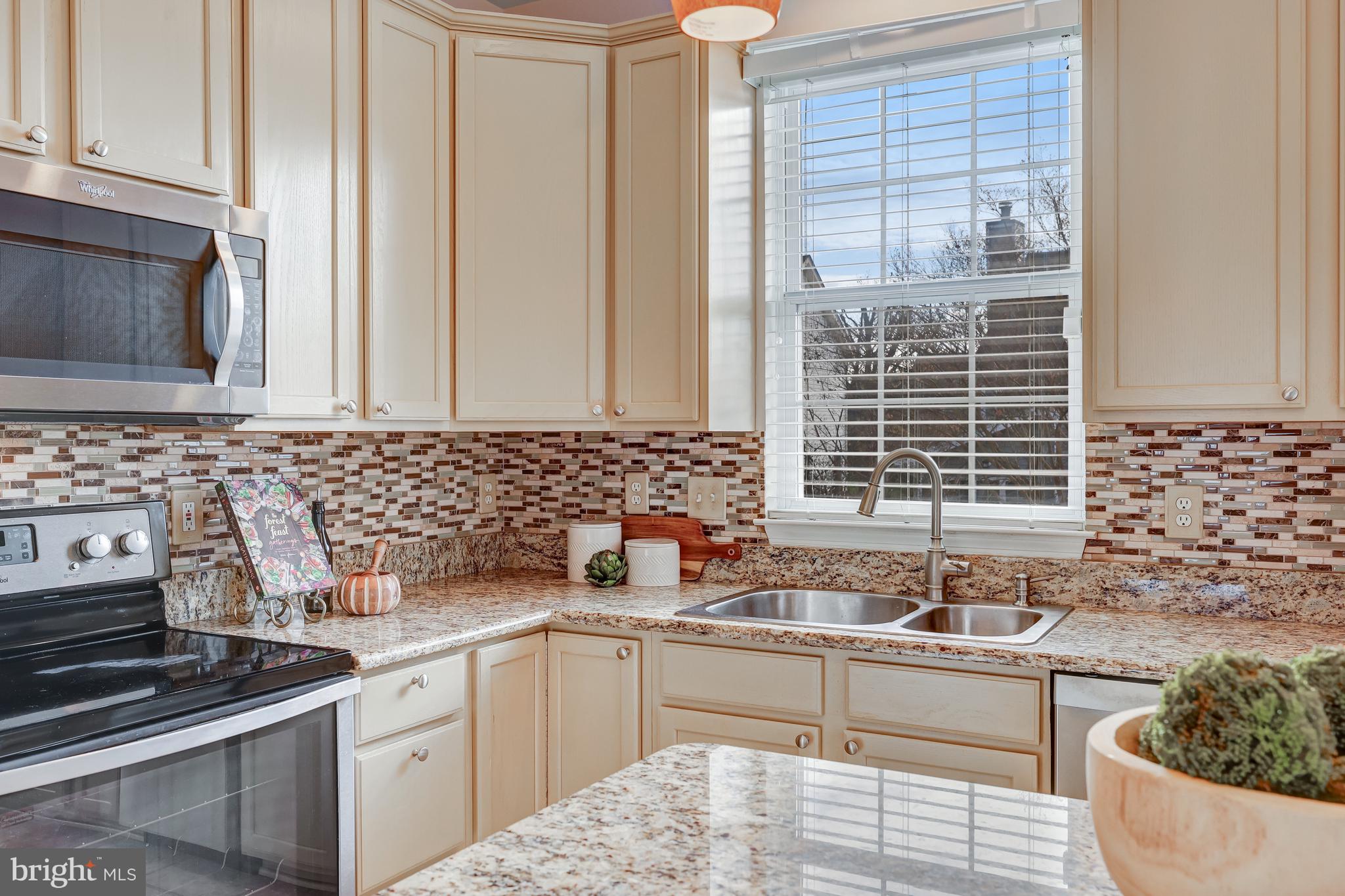 20872 Butterwood Falls Ter