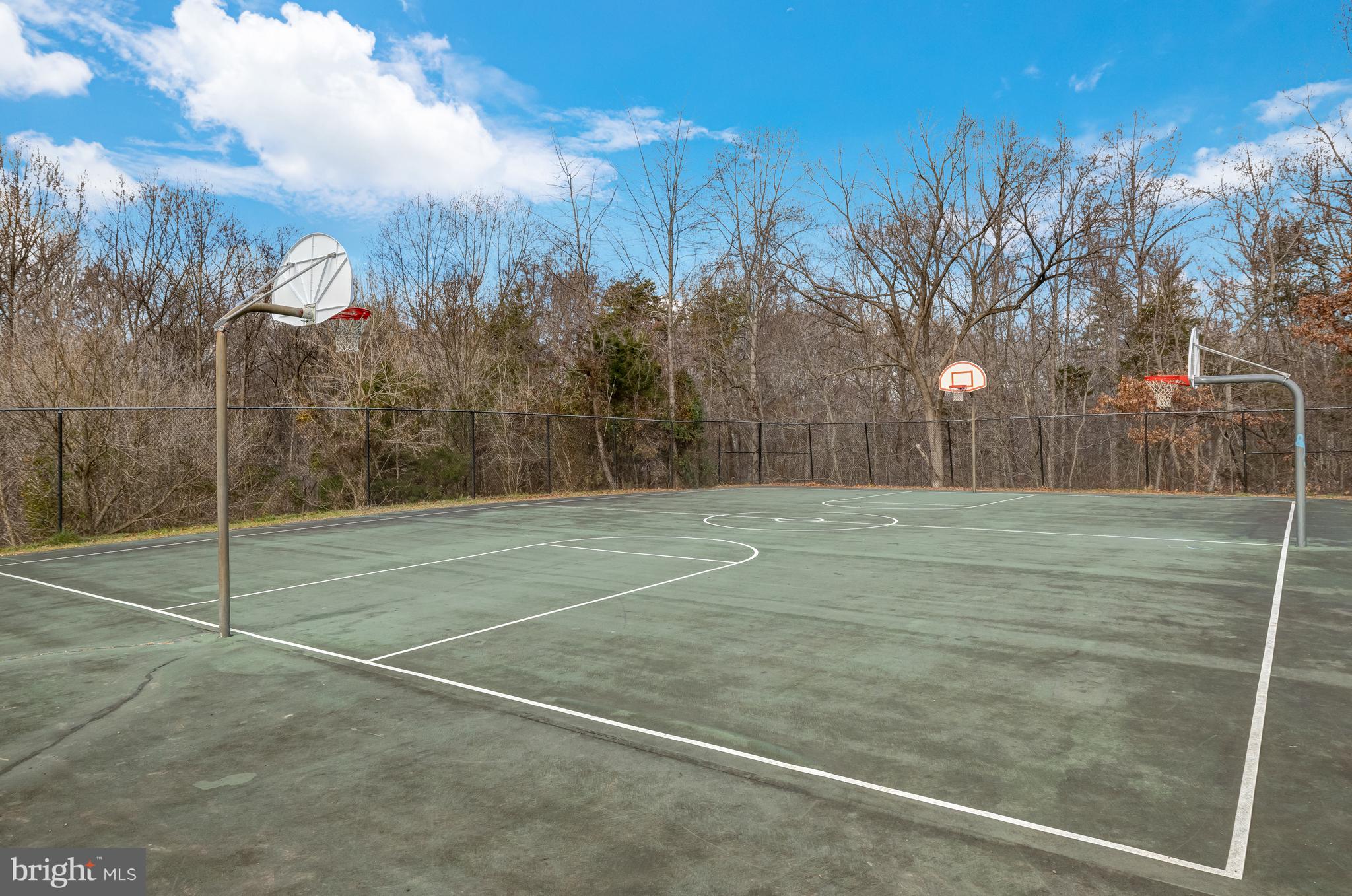 20872 Butterwood Falls Ter