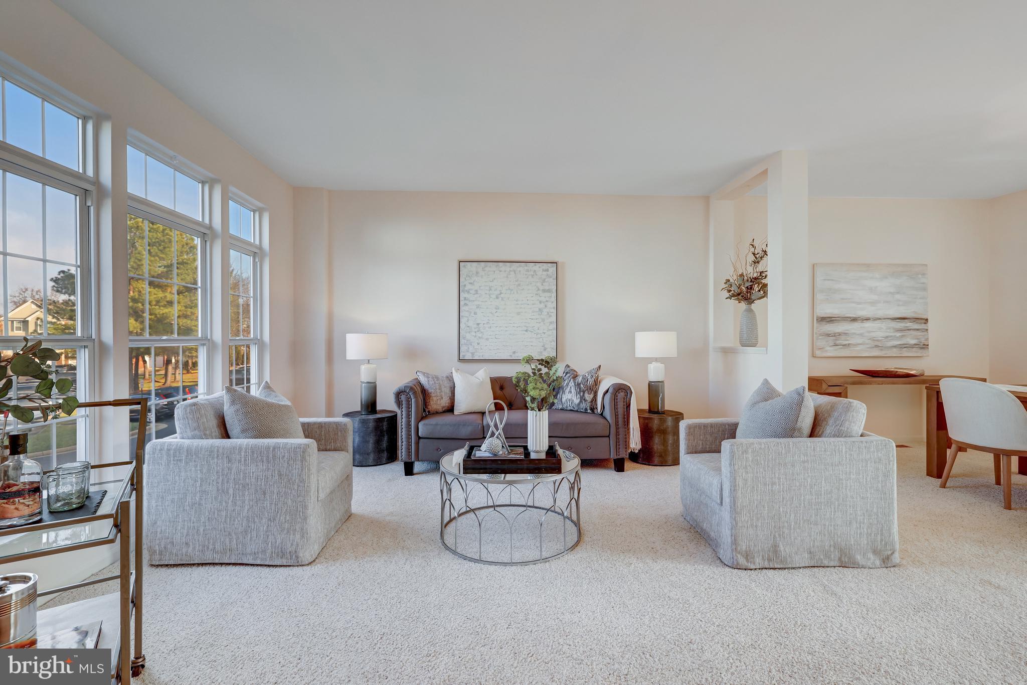 20872 Butterwood Falls Ter