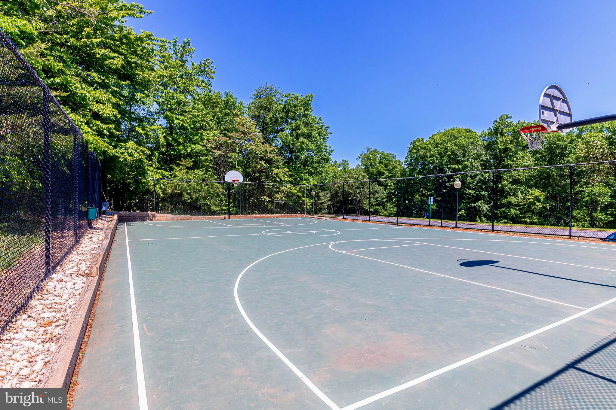 21178 Domain Ter #26