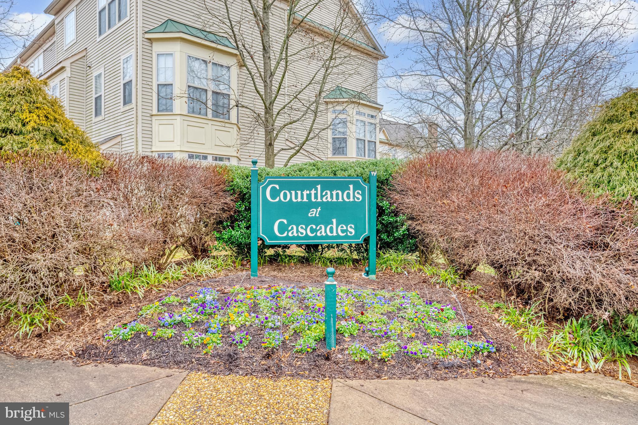 21178 Domain Ter #26