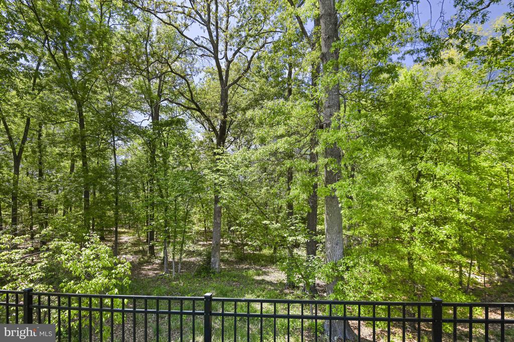 25071 Chafee Cir
