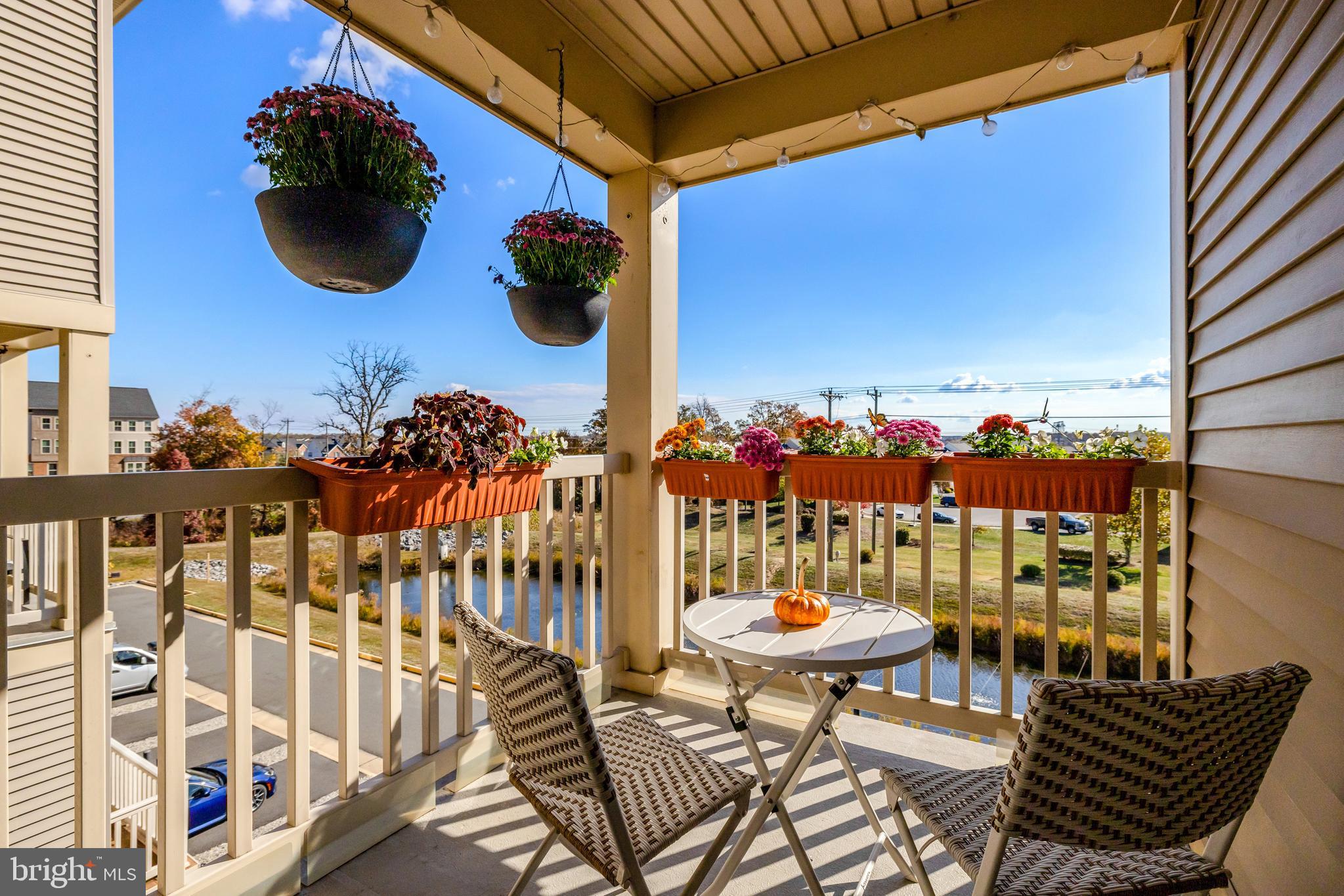 25312 TRUMPET VINE TERRACE