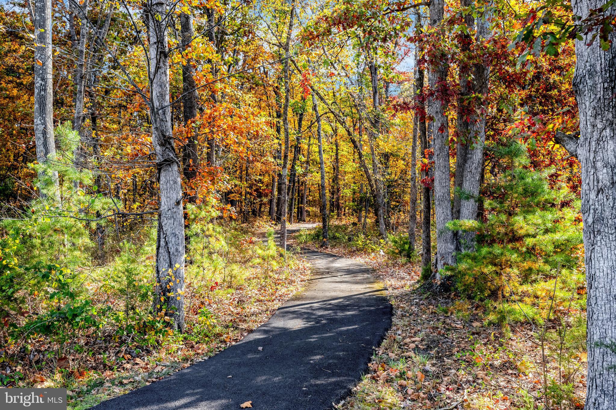 25312 TRUMPET VINE TERRACE