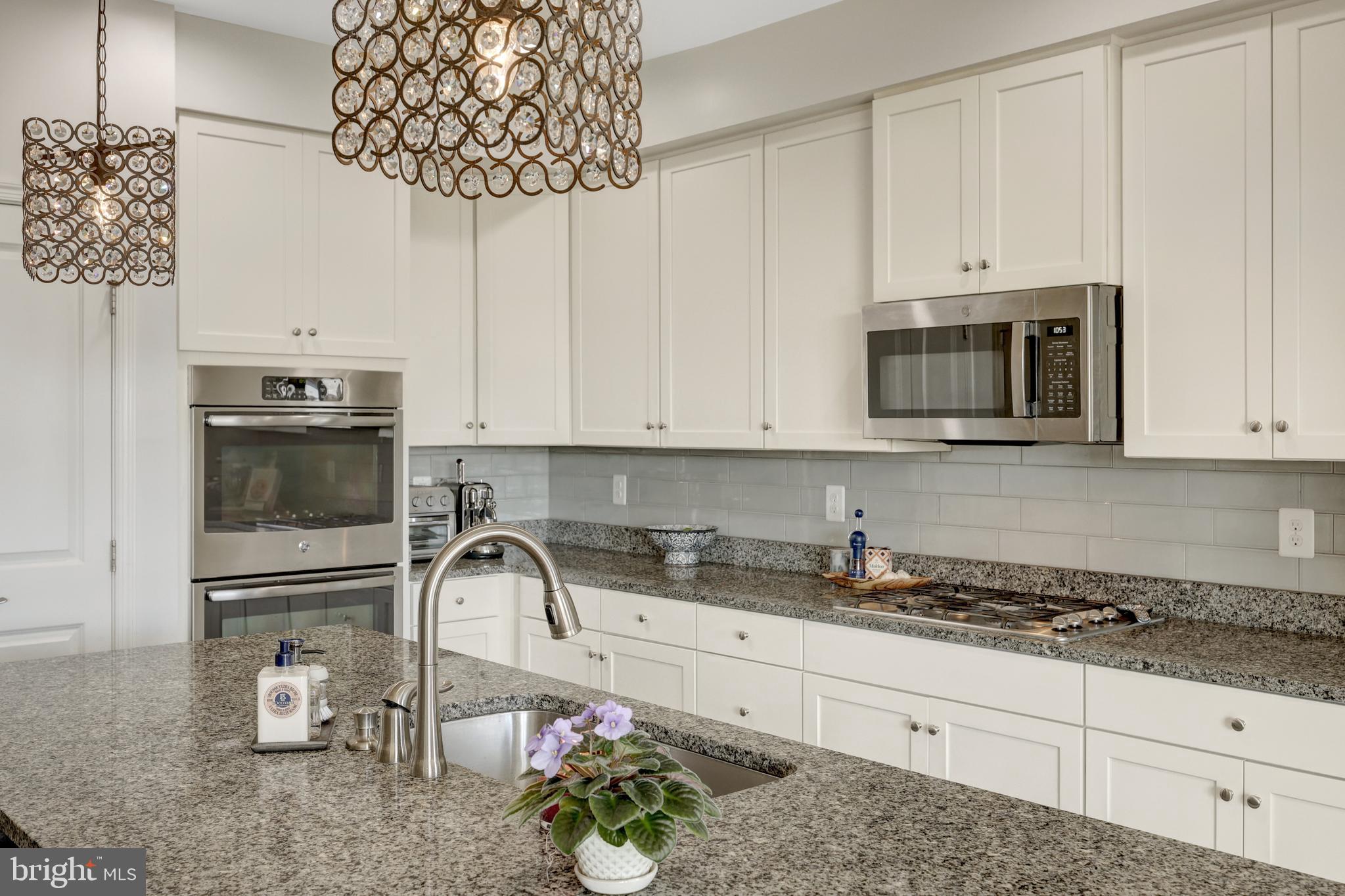 25312 TRUMPET VINE TERRACE