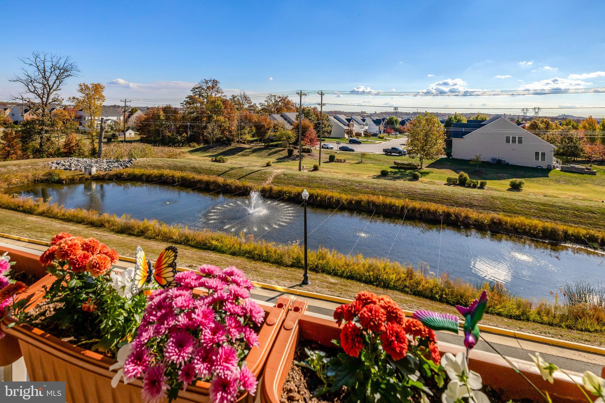 25312 TRUMPET VINE TERRACE