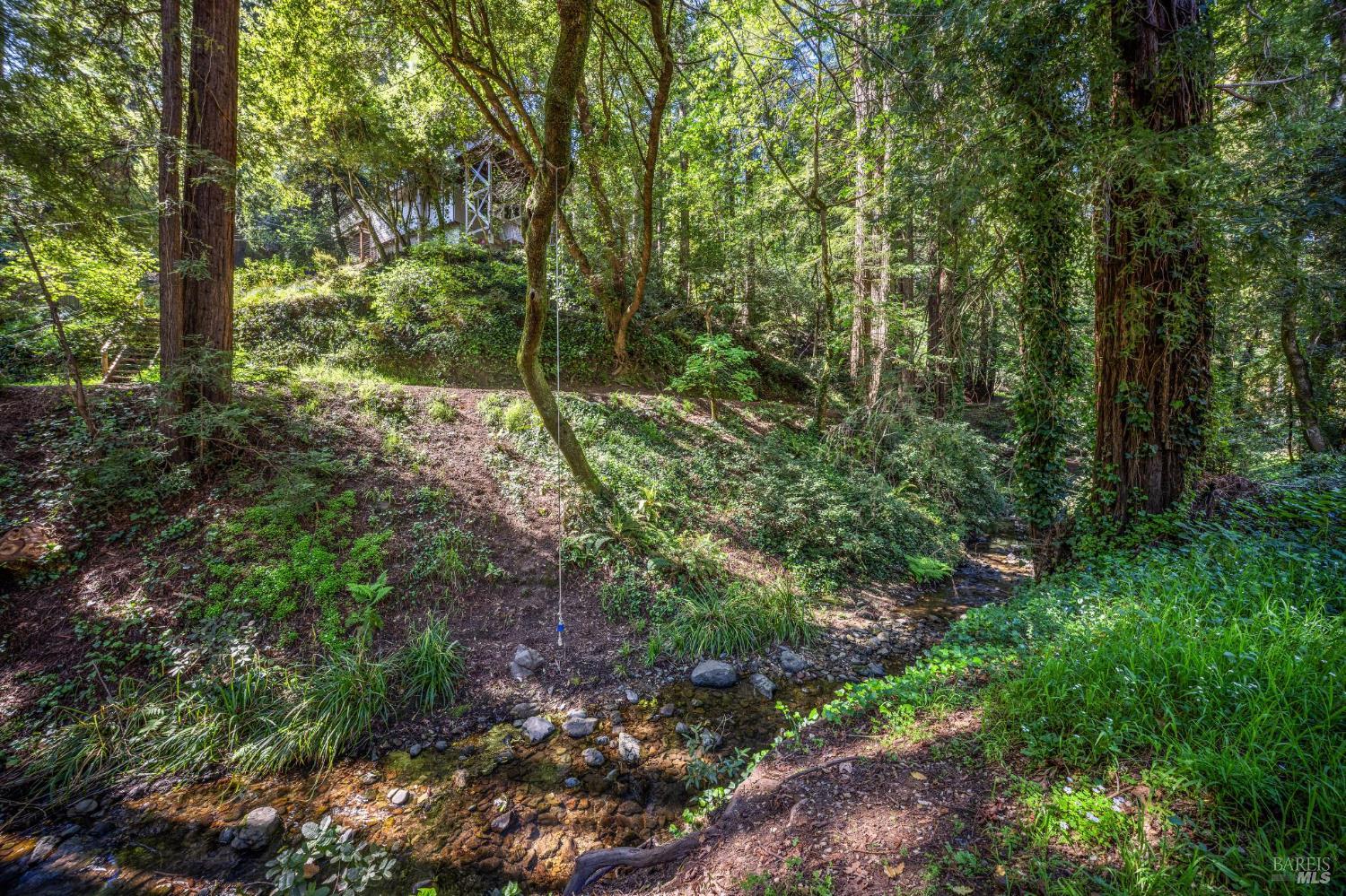 334 Blithedale Avenue W