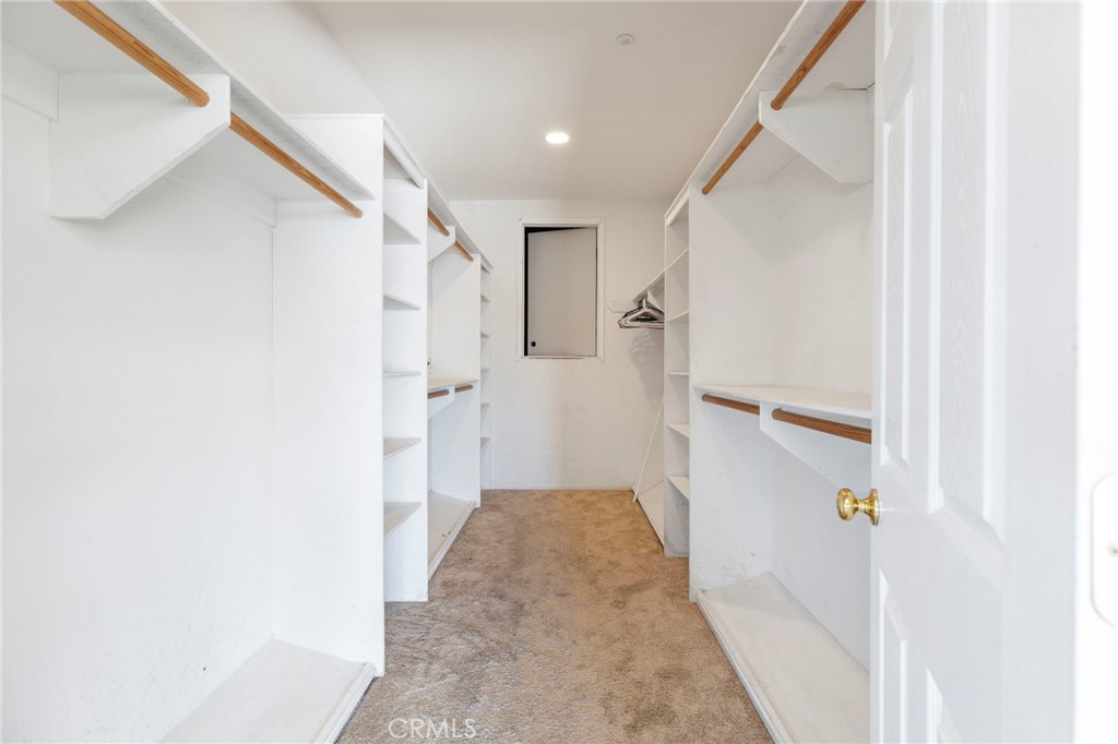 24384 Rutherford