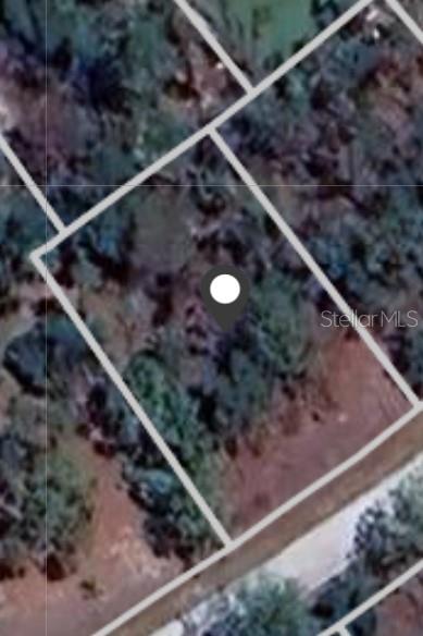Aerial view of a wooded vacant lot outlined along a road.