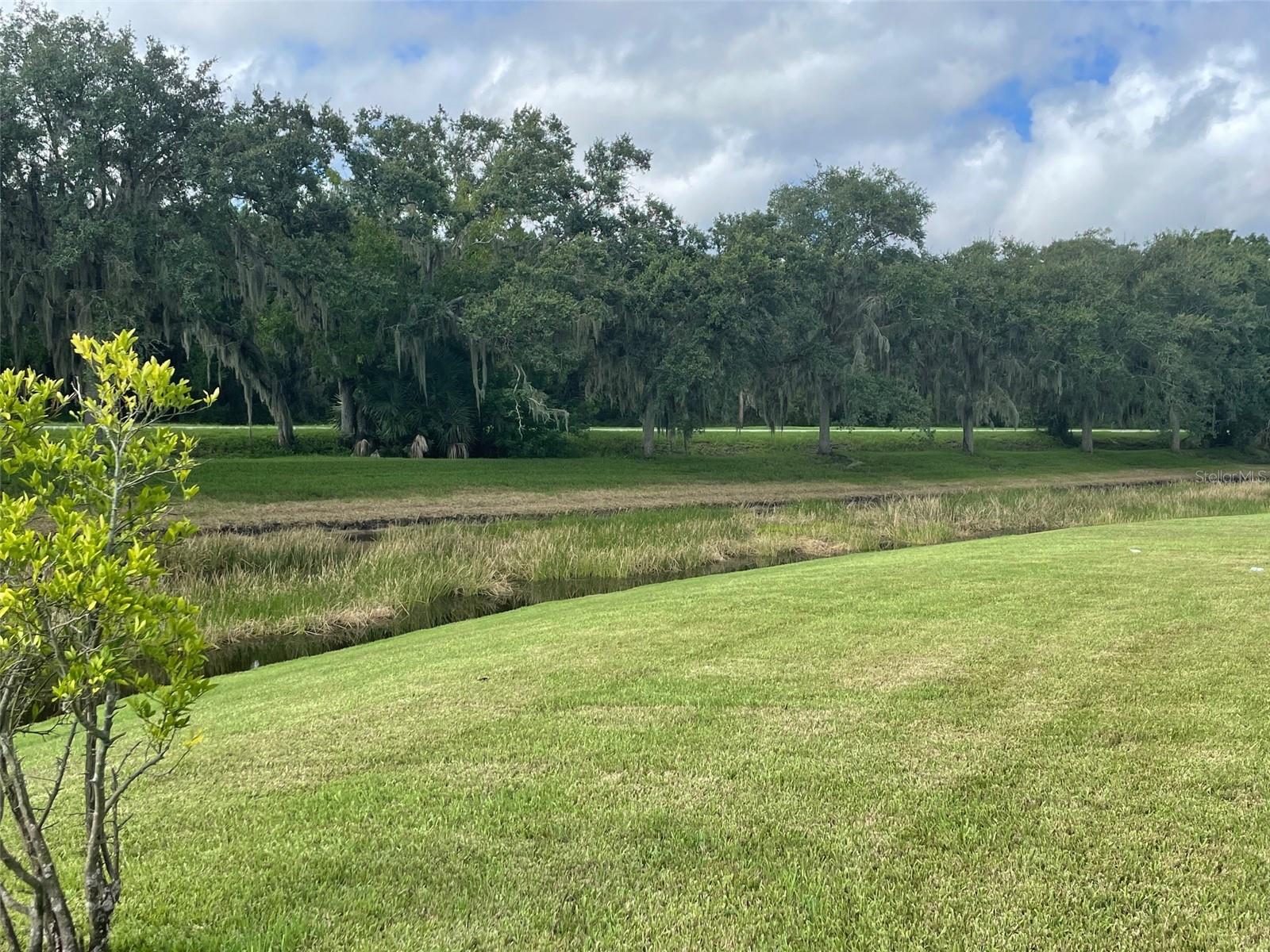 Grassy property with a drainage ditch and mature trees draped in Spanish moss.