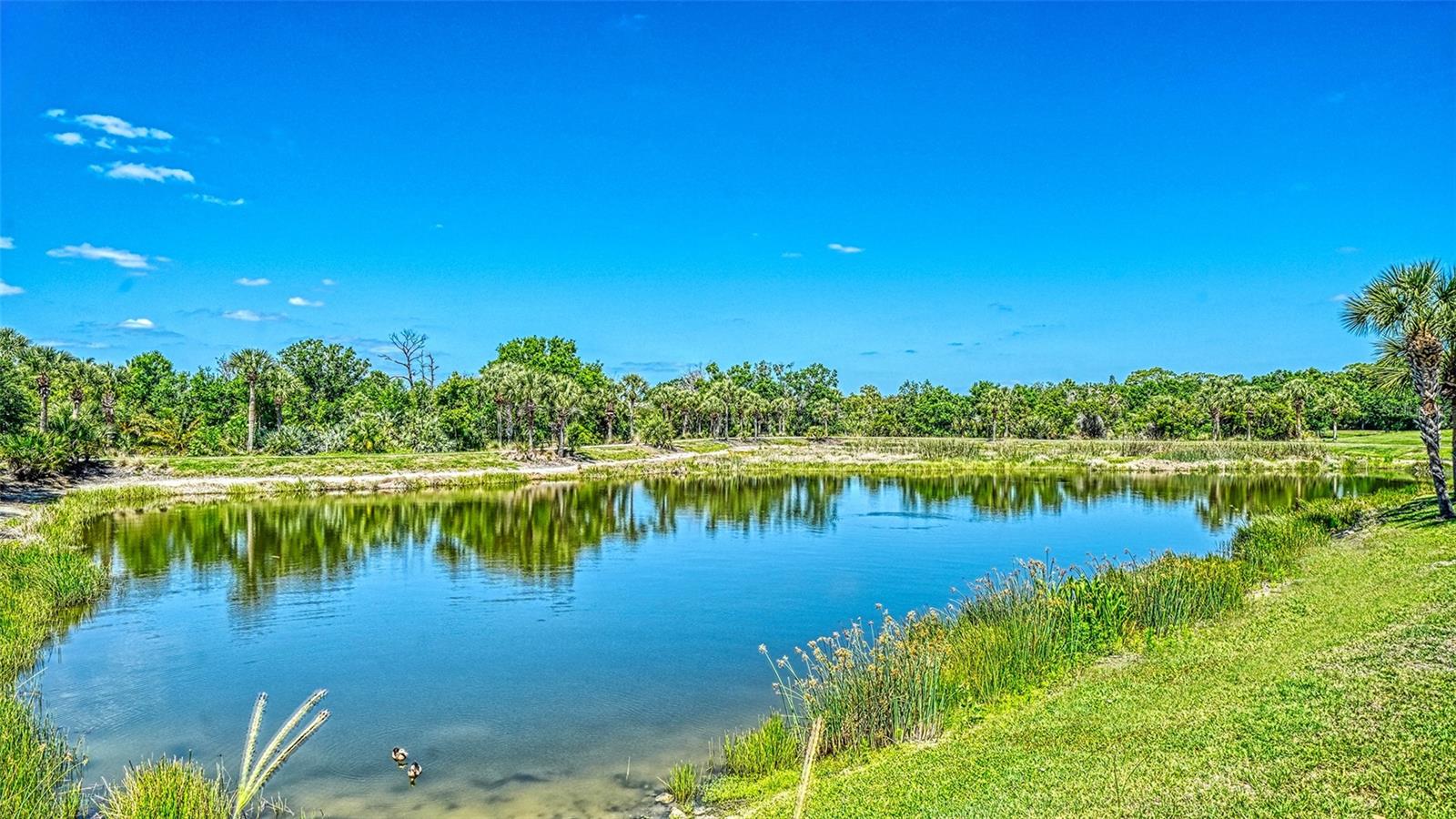 1424 BLUE HORIZON CIR