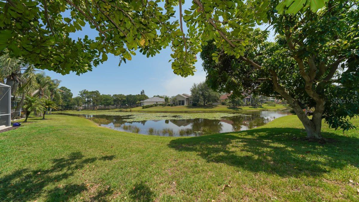 5453 NEW COVINGTON DR