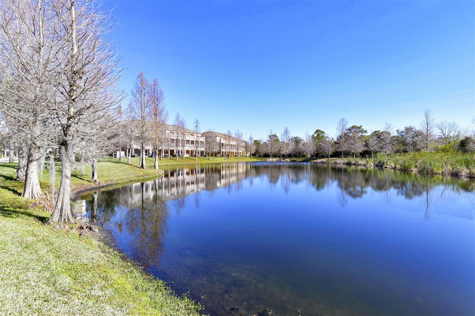 7339 BLACK WALNUT WAY