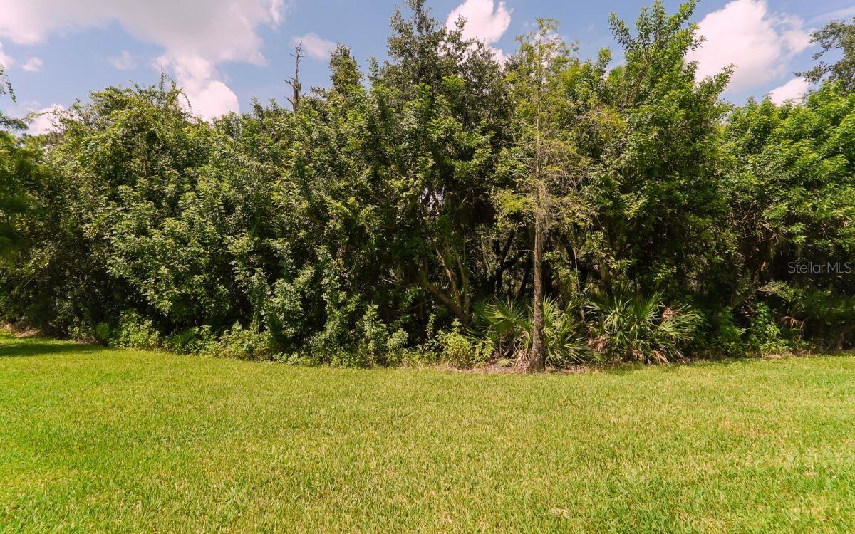 7339 BLACK WALNUT WAY