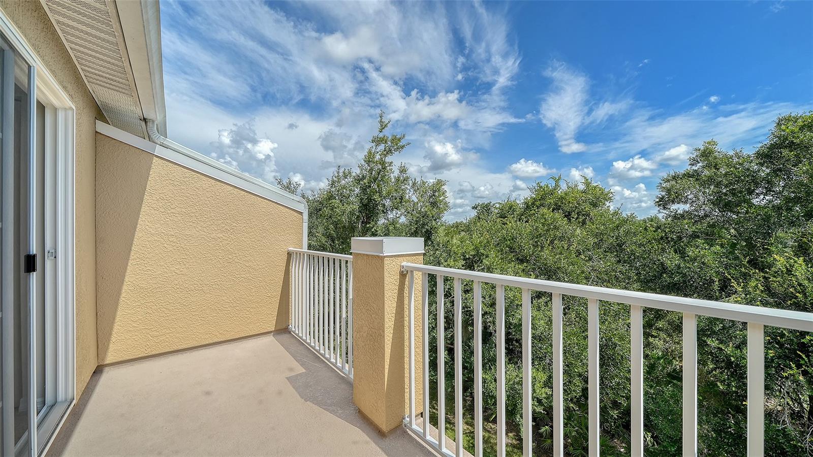7339 BLACK WALNUT WAY