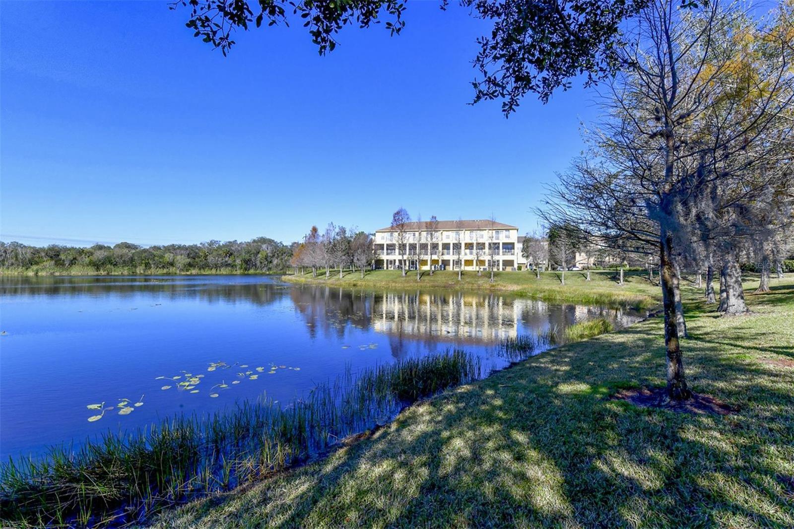 7339 BLACK WALNUT WAY