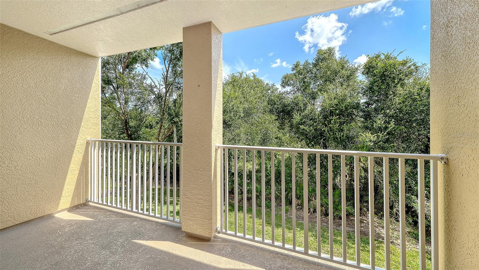 7339 BLACK WALNUT WAY