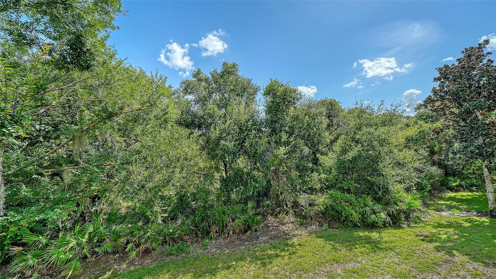 7339 BLACK WALNUT WAY
