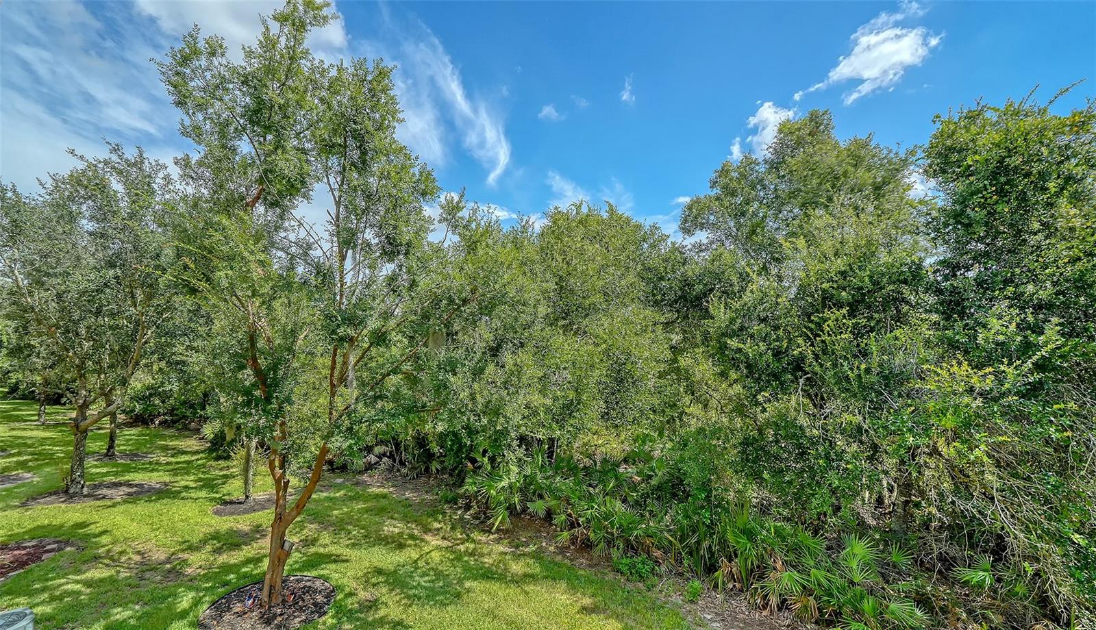 7339 BLACK WALNUT WAY
