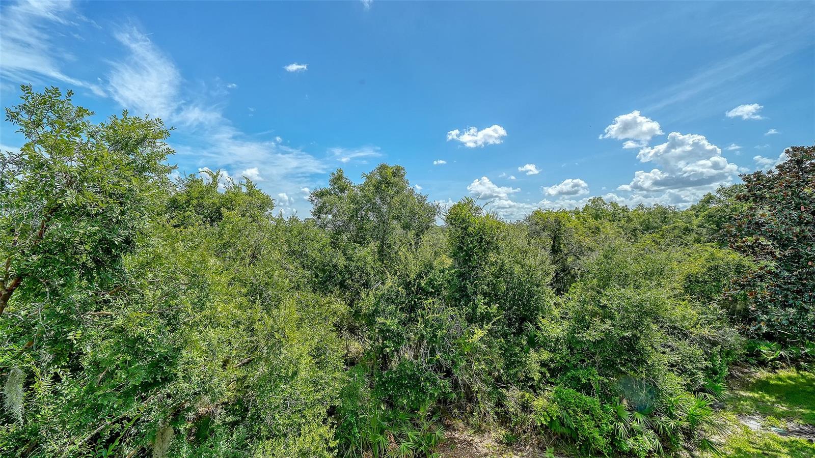 7339 BLACK WALNUT WAY