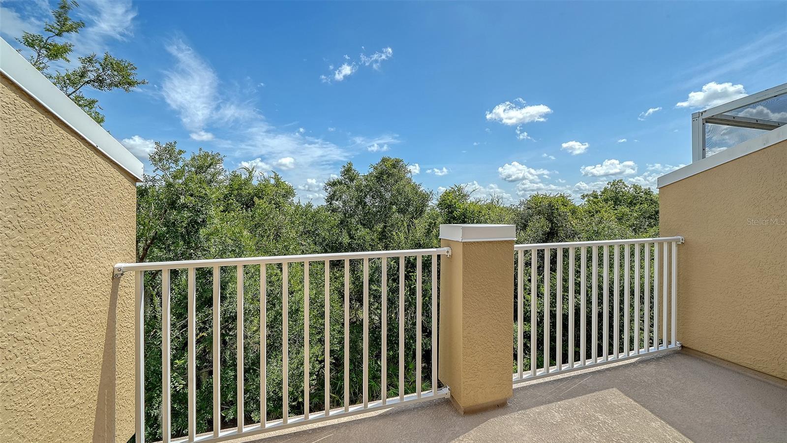 7339 BLACK WALNUT WAY