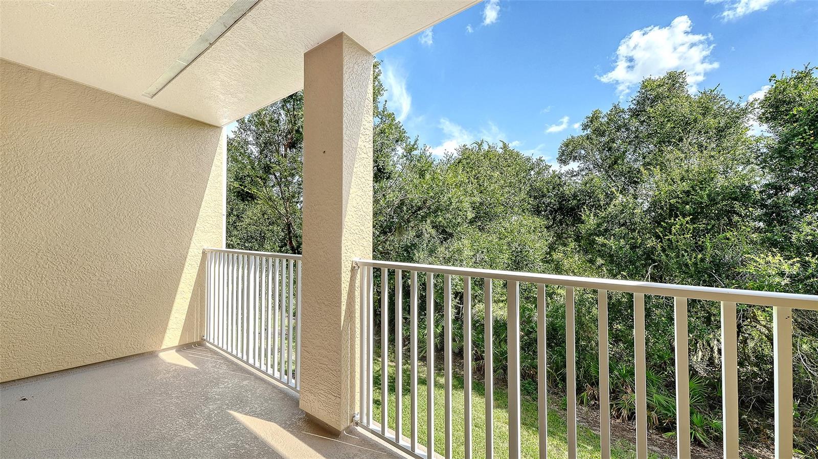 7339 BLACK WALNUT WAY