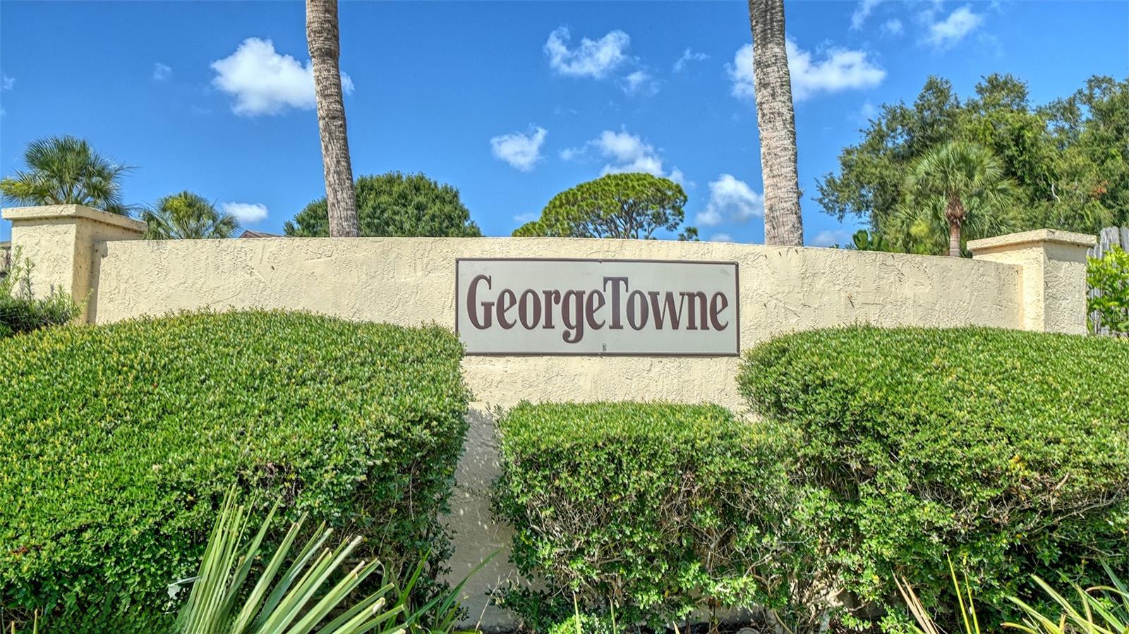 1546 GEORGETOWNE LN