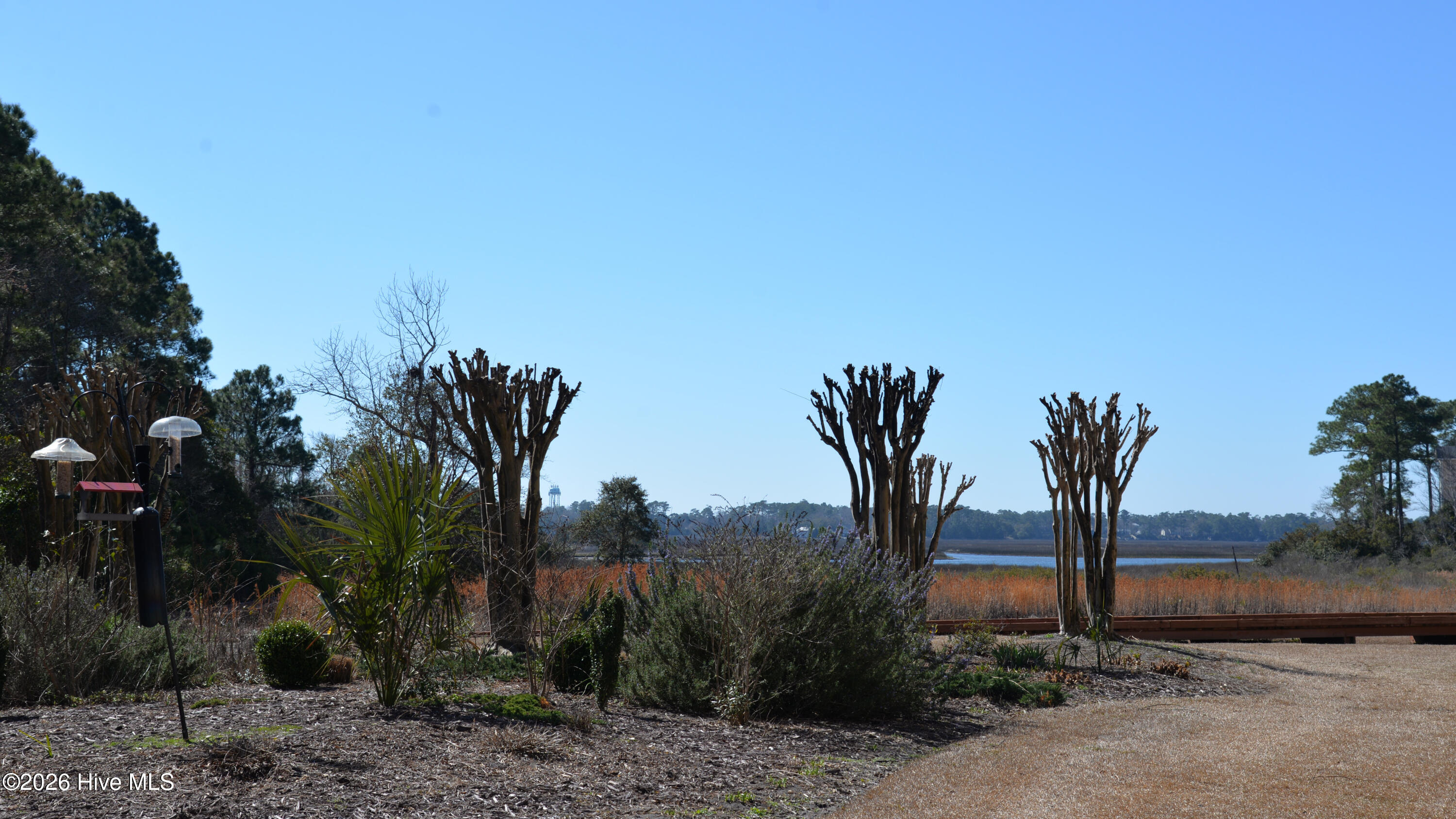 3100 Marsh Grove Lane, # 3201