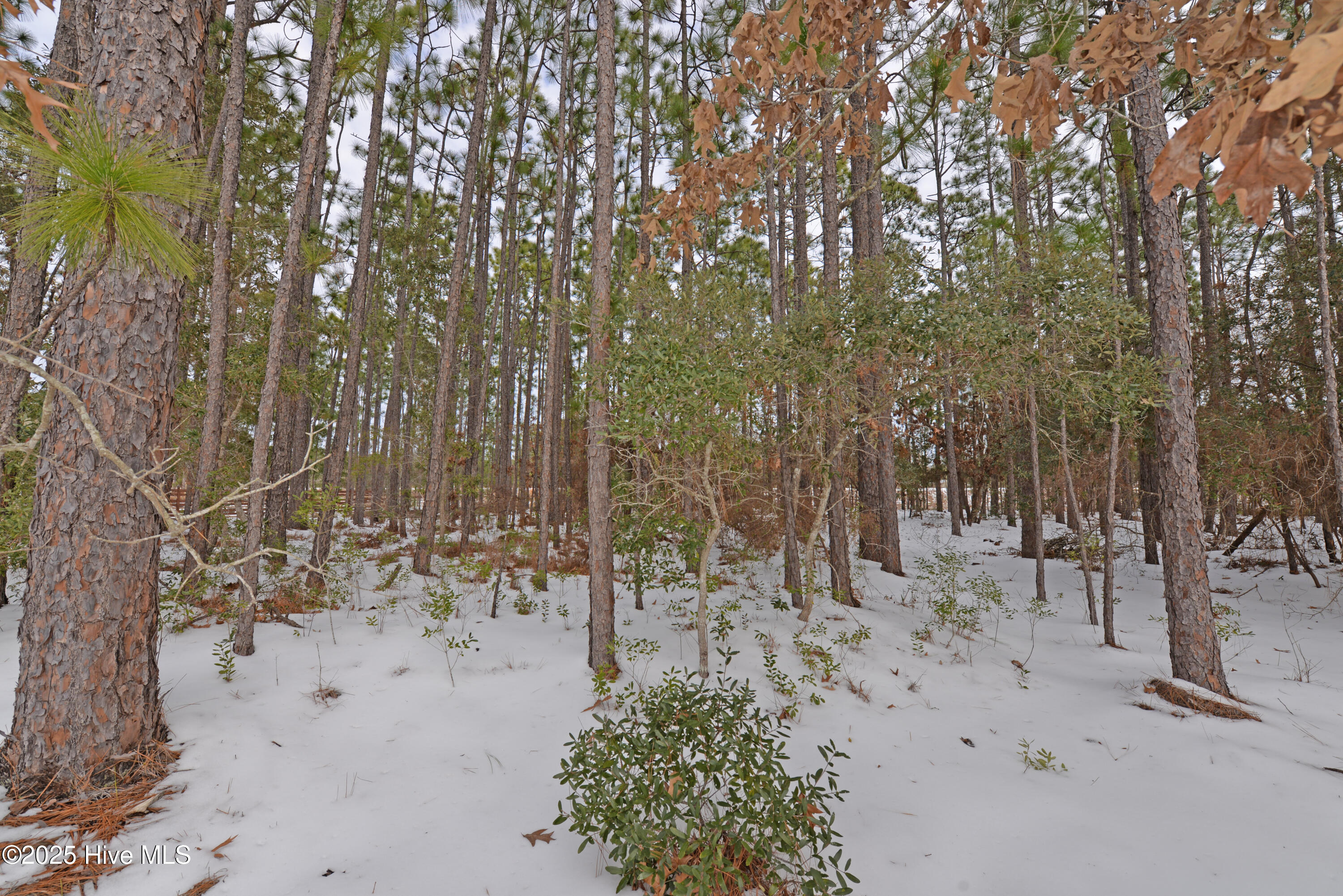 881 50 & 51 Eden Drive