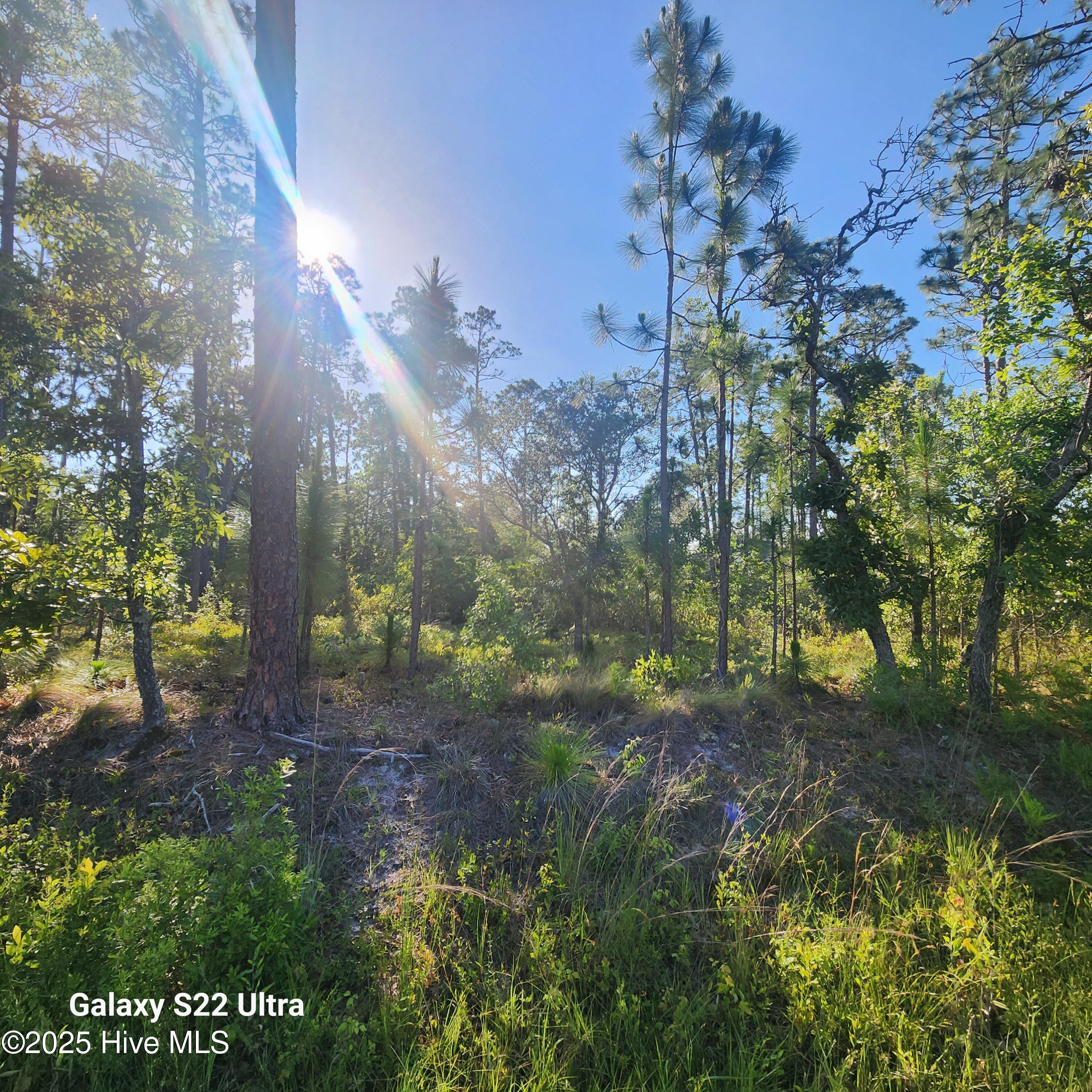 2021 3 E Boiling Spring Road