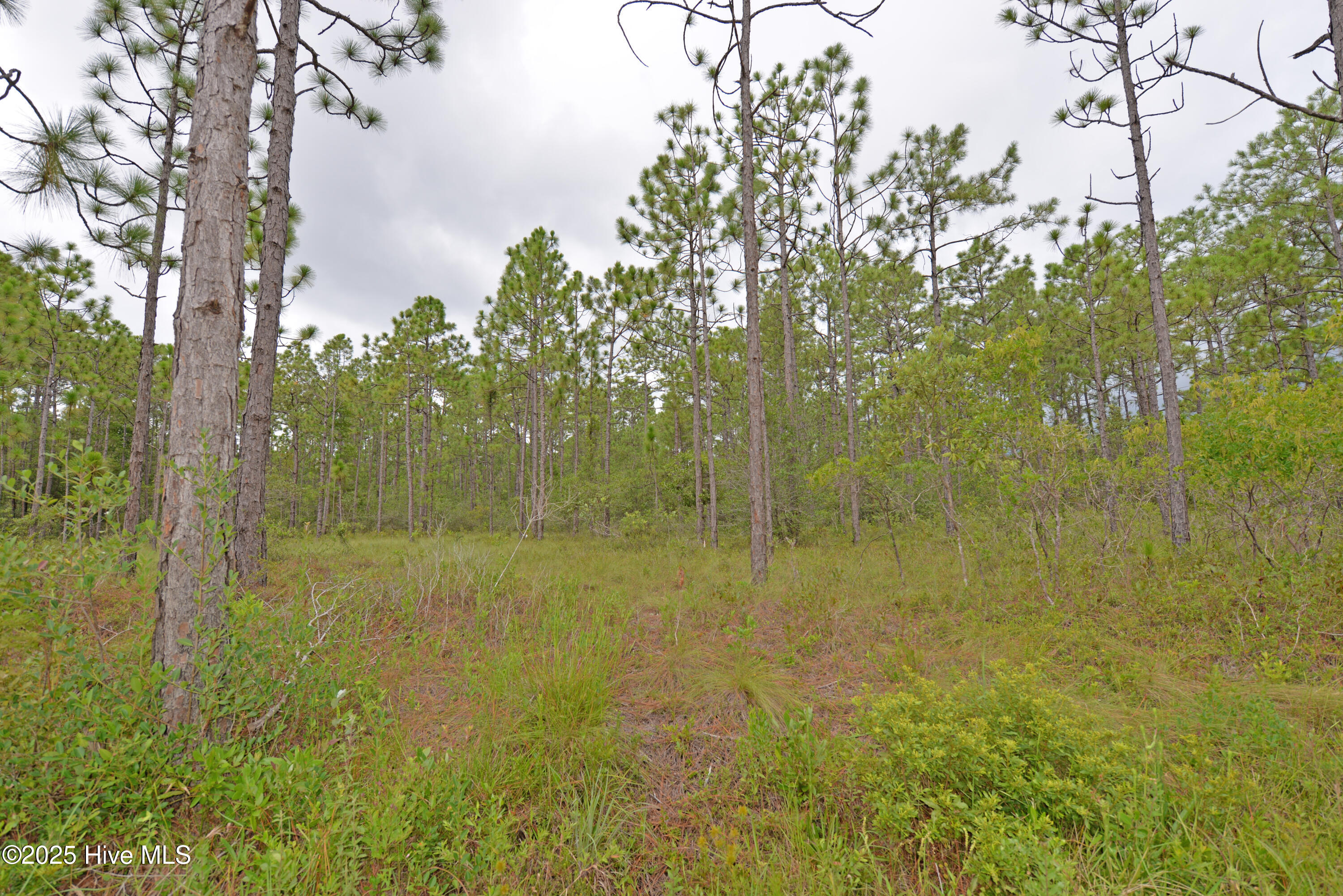 L-272 272 E Boiling Spring Road