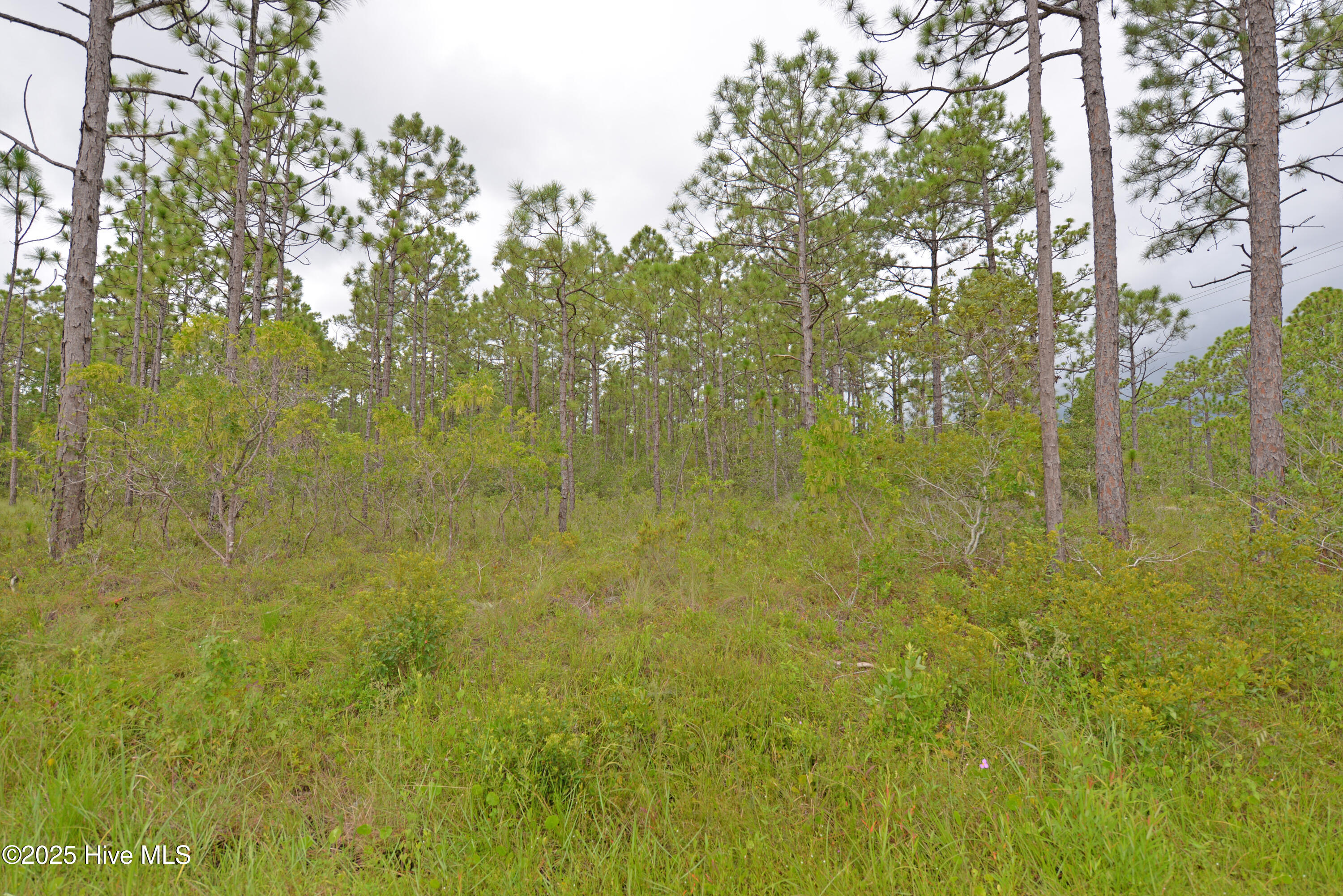 L-272 272 E Boiling Spring Road