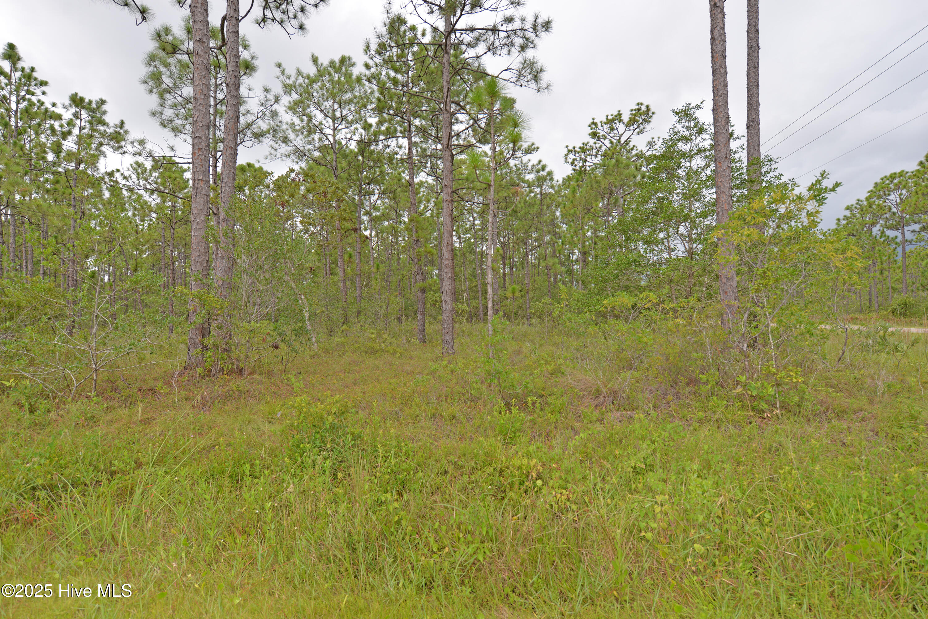 L-272 272 E Boiling Spring Road