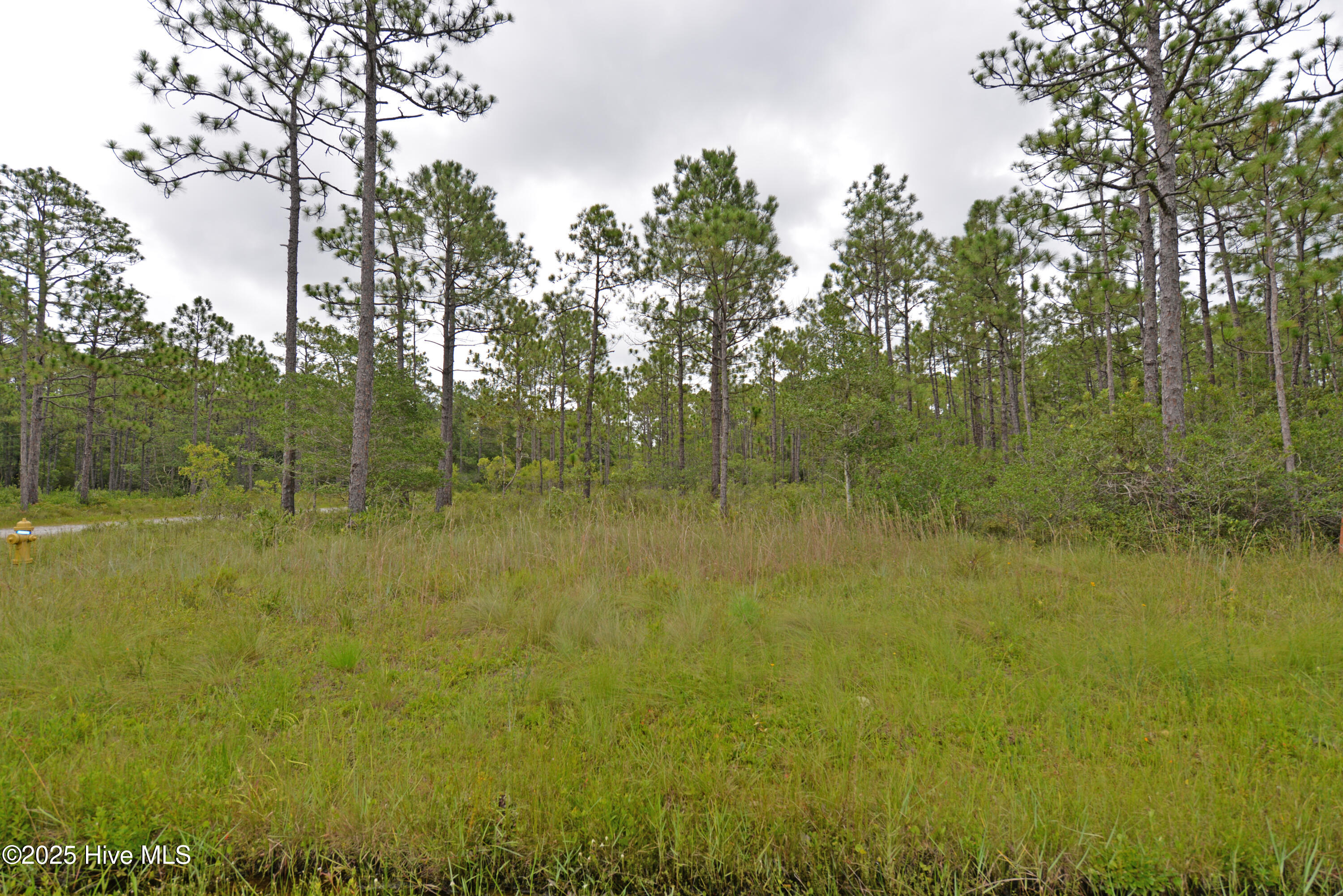 L-272 272 E Boiling Spring Road