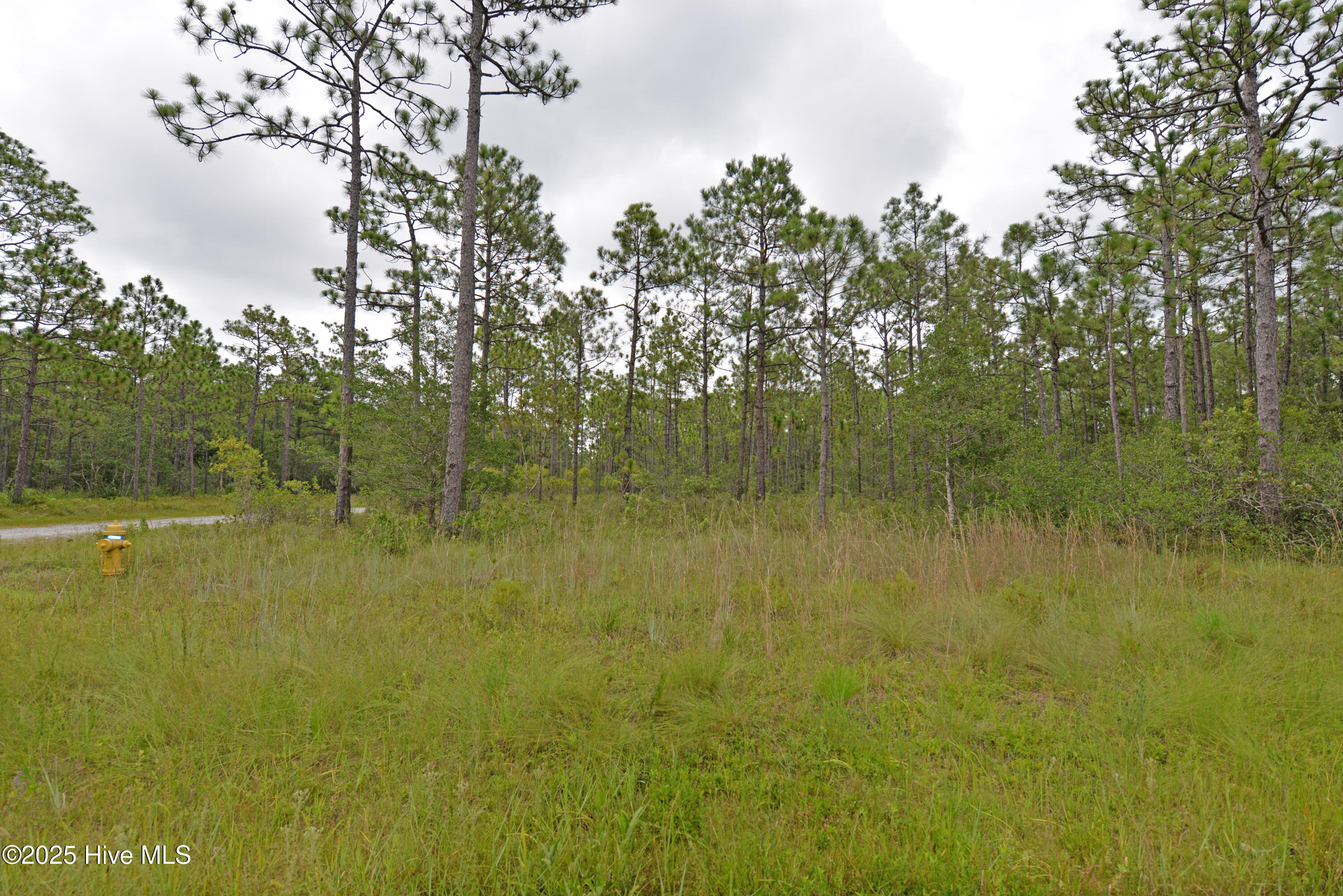 L-272 272 E Boiling Spring Road