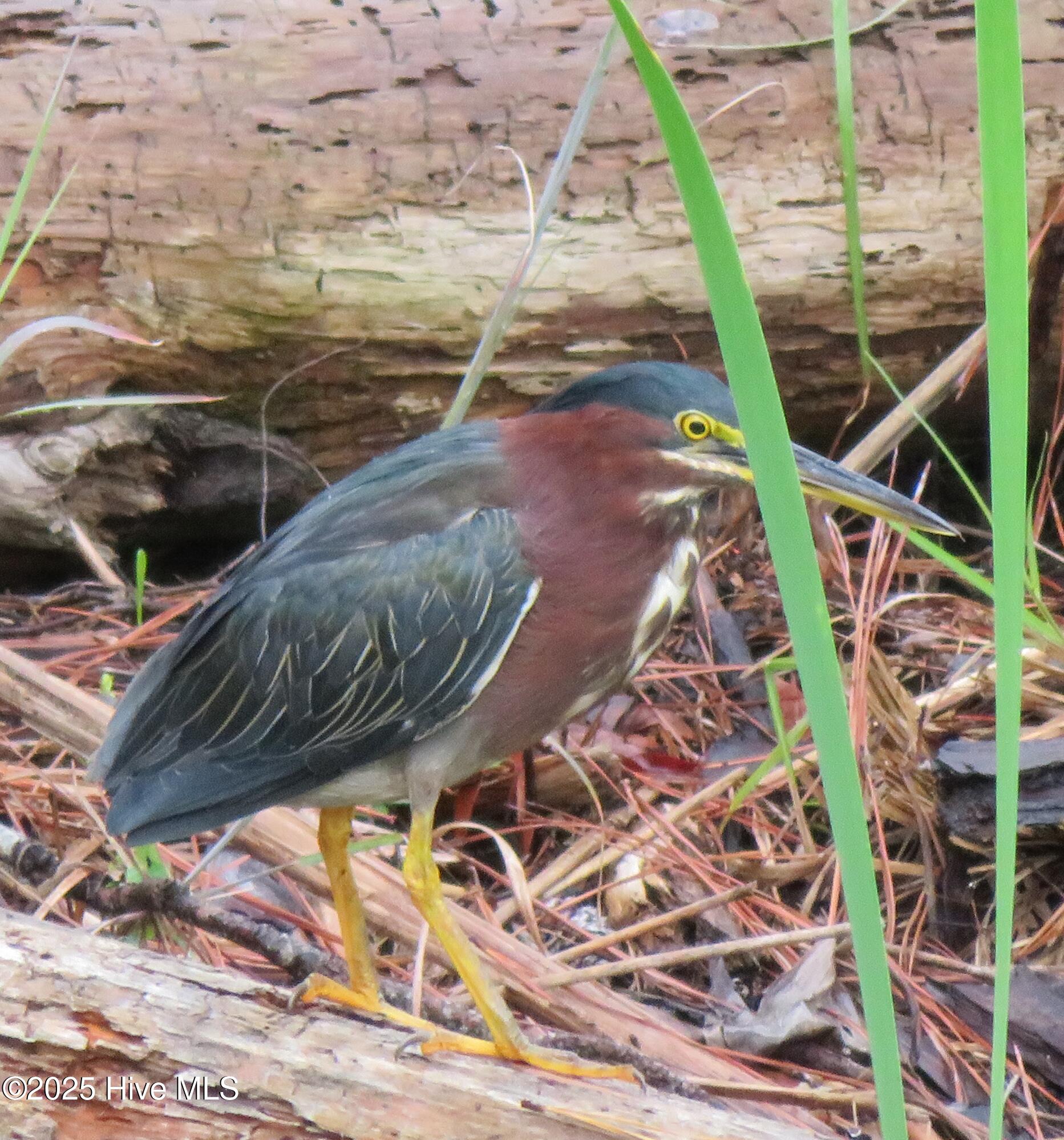 4986 N Hampton Drive SE