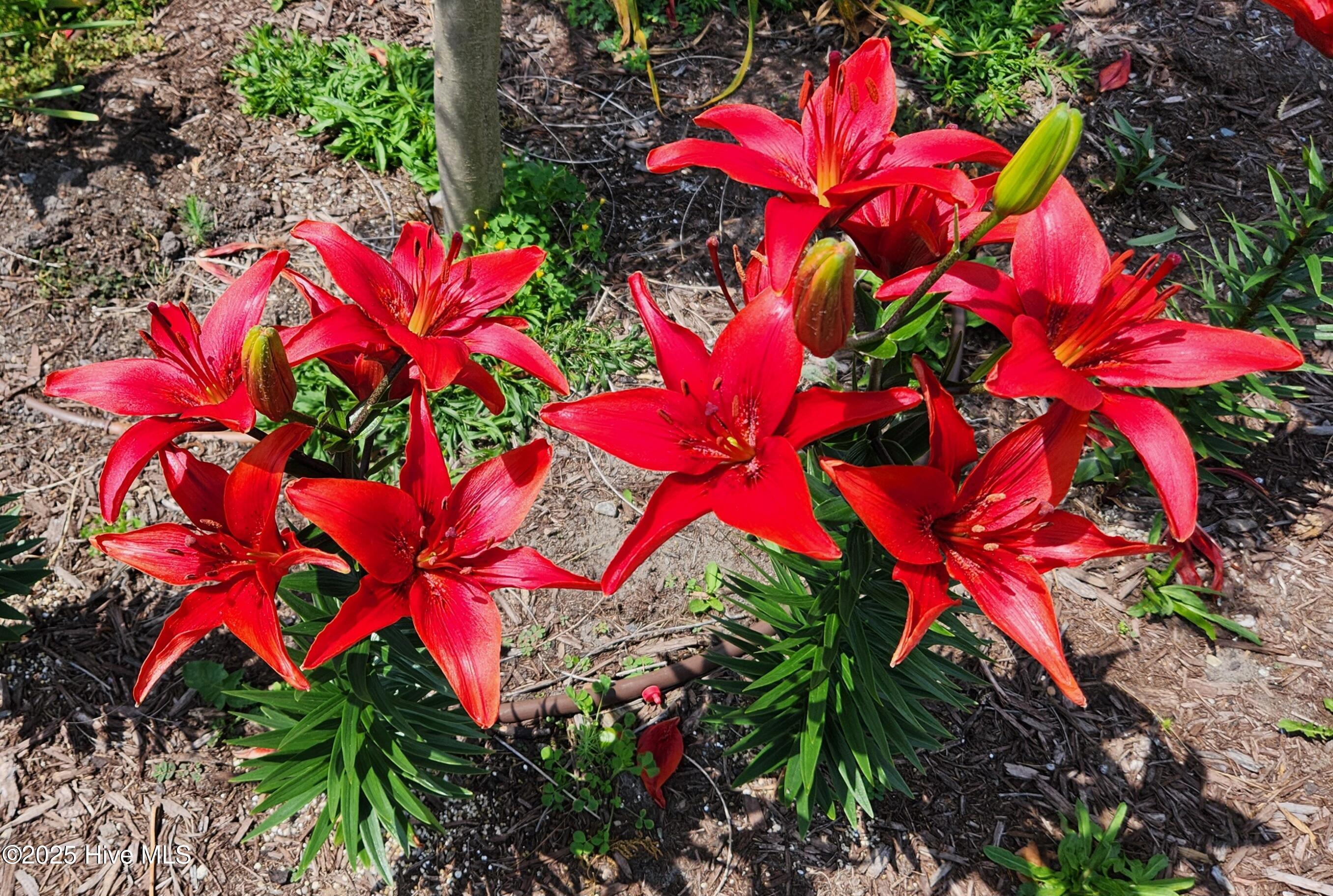 4986 N Hampton Drive SE